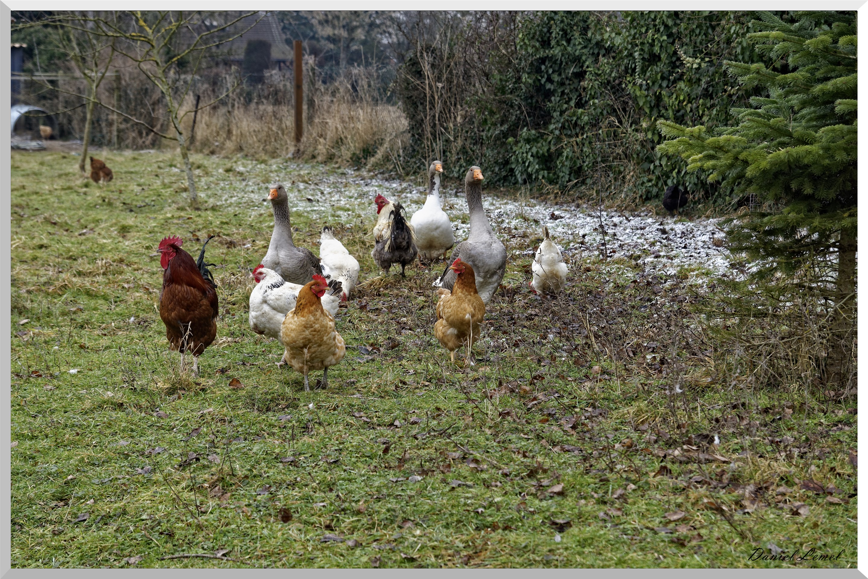 Notre-Dame-de-l'Isle