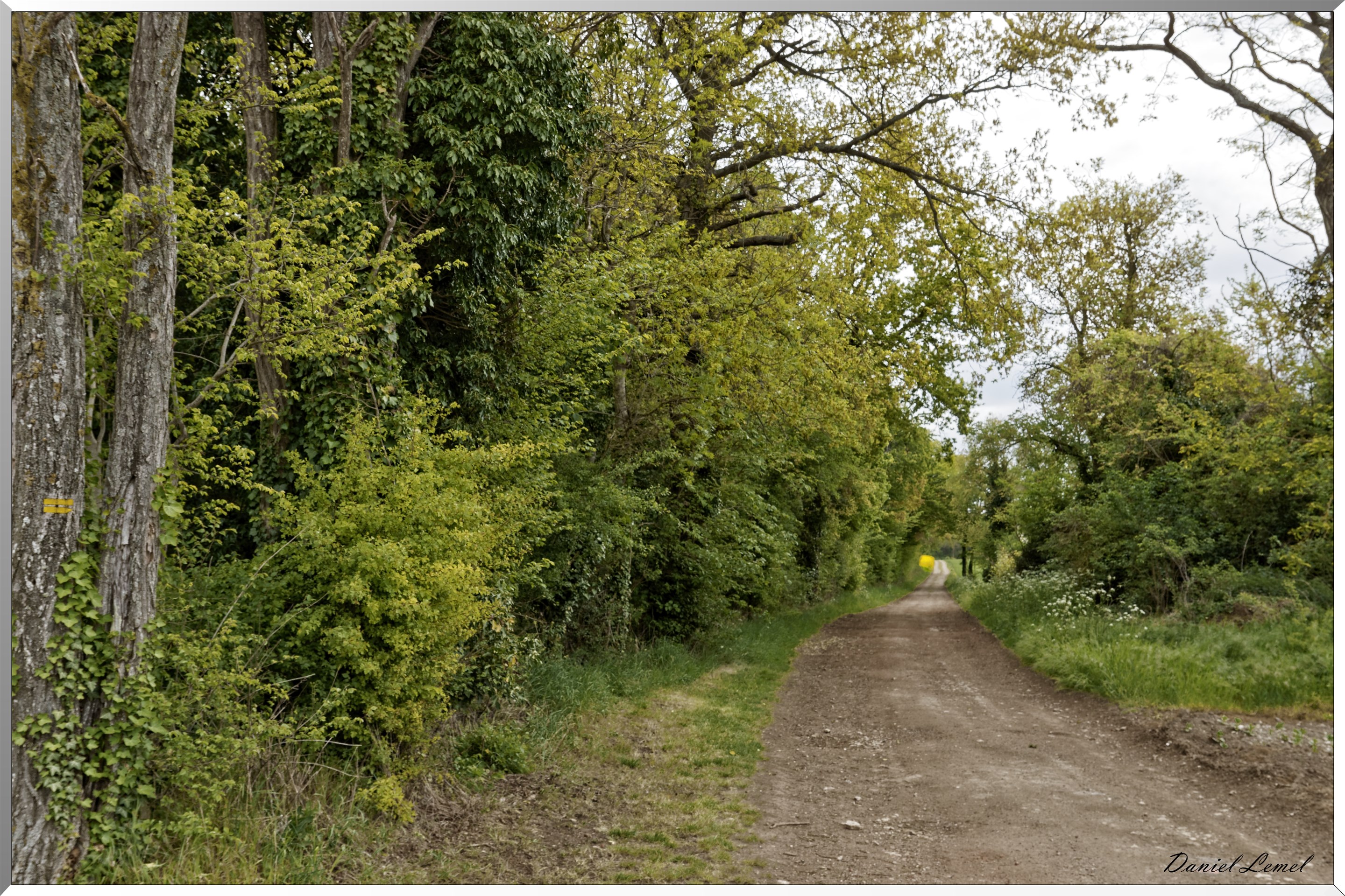 Abbaye de Notre Dame du Trésor