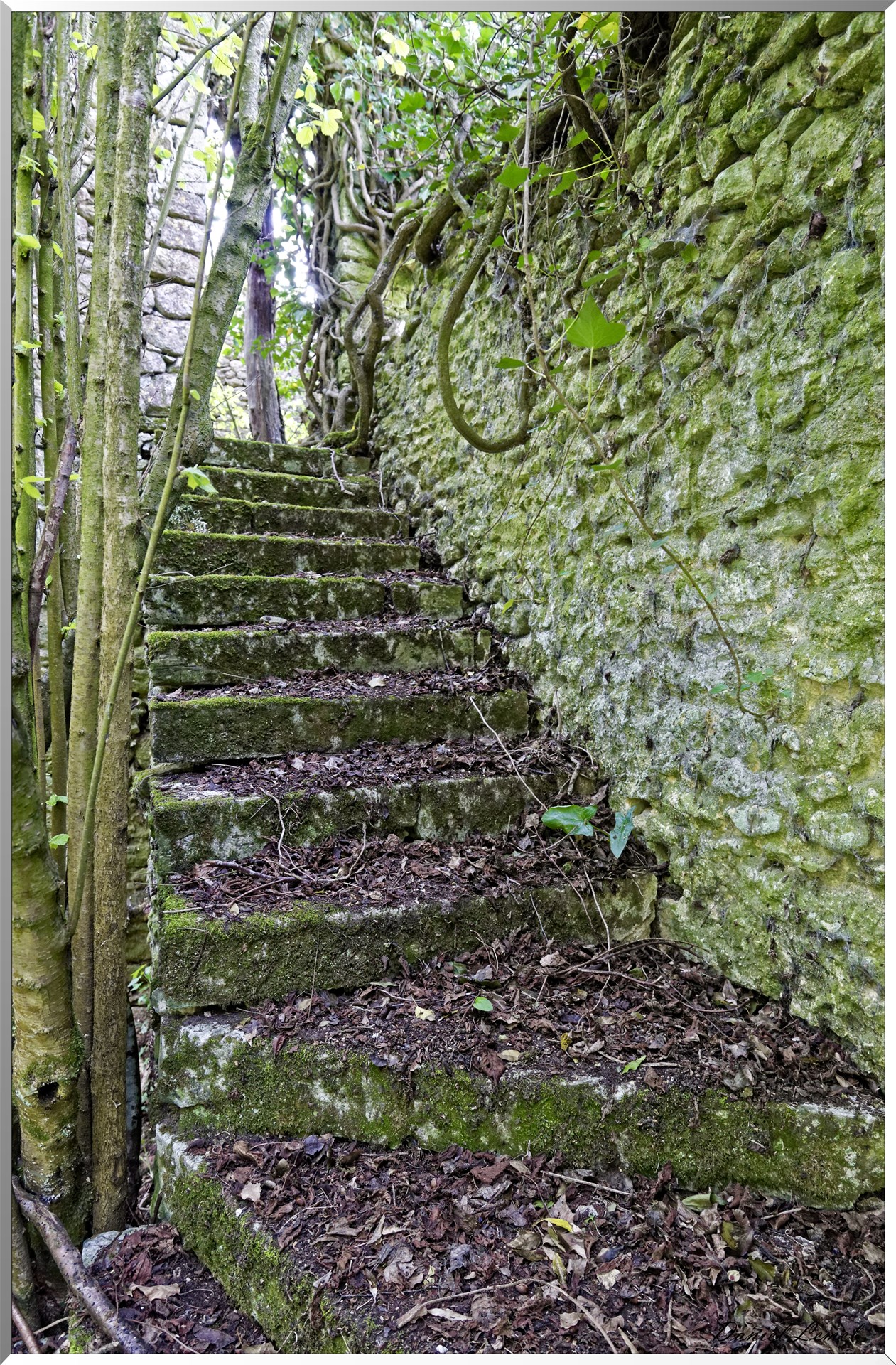 Abbaye de Notre Dame du Trésor