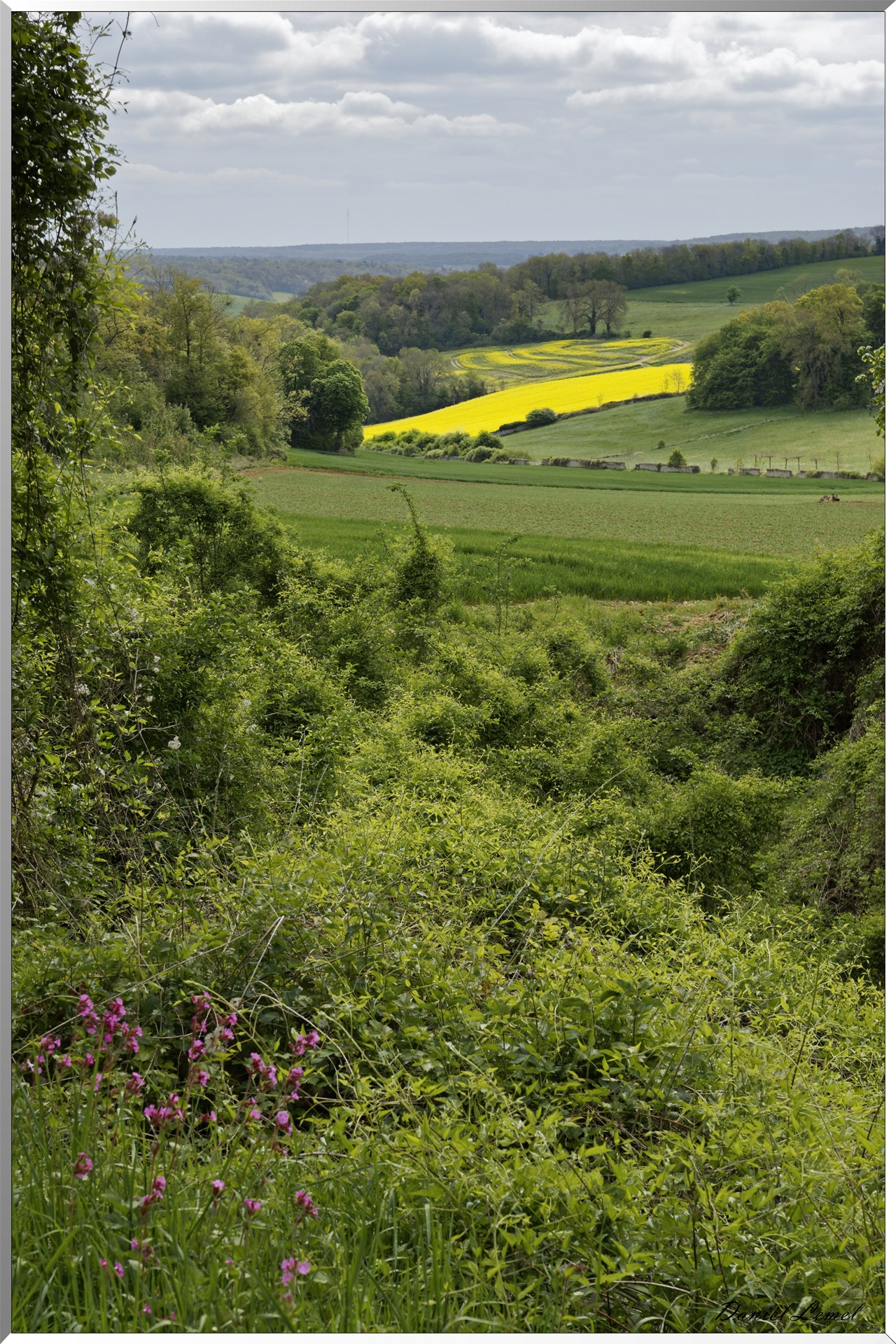 Abbaye de Notre Dame du Trésor