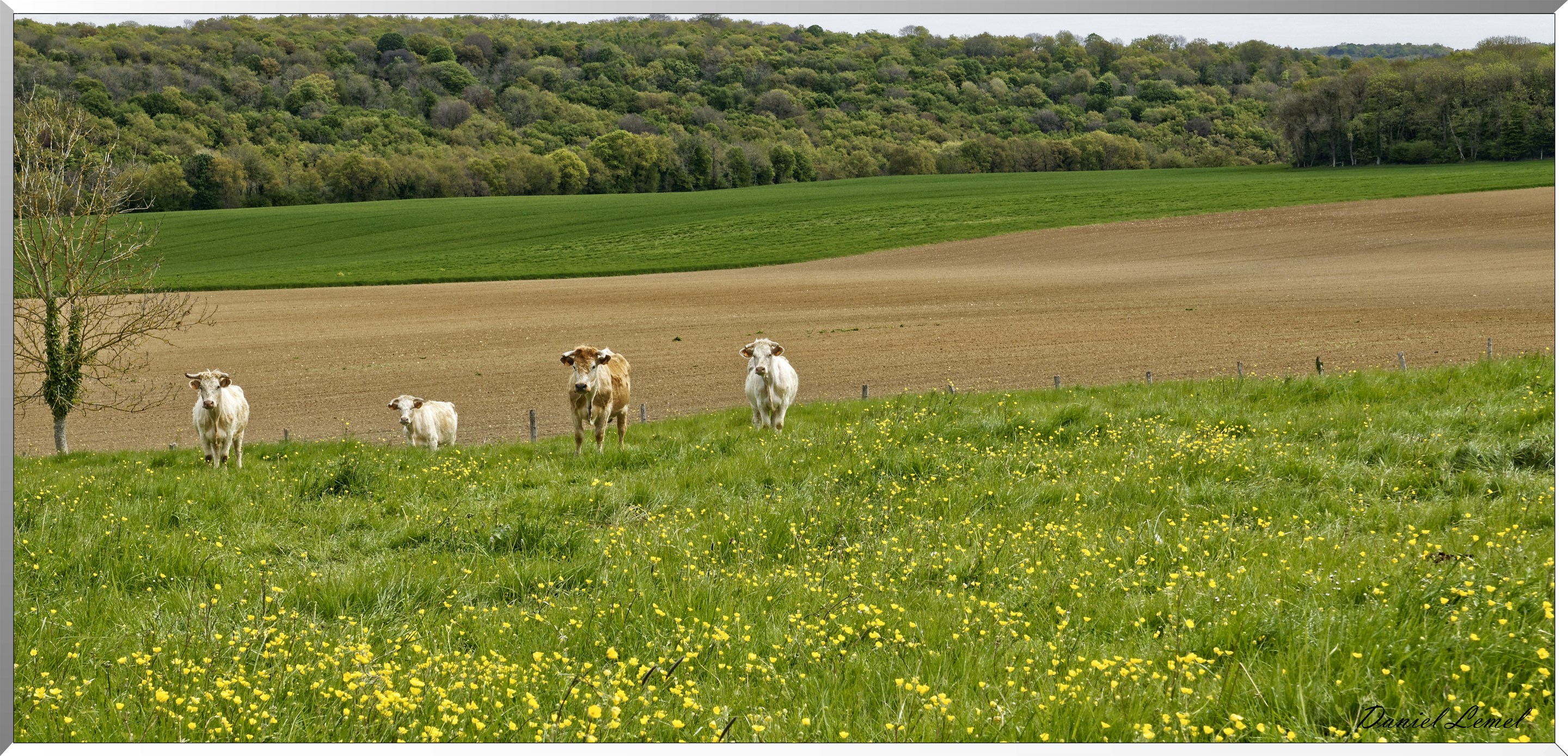 Abbaye de Notre Dame du Trésor