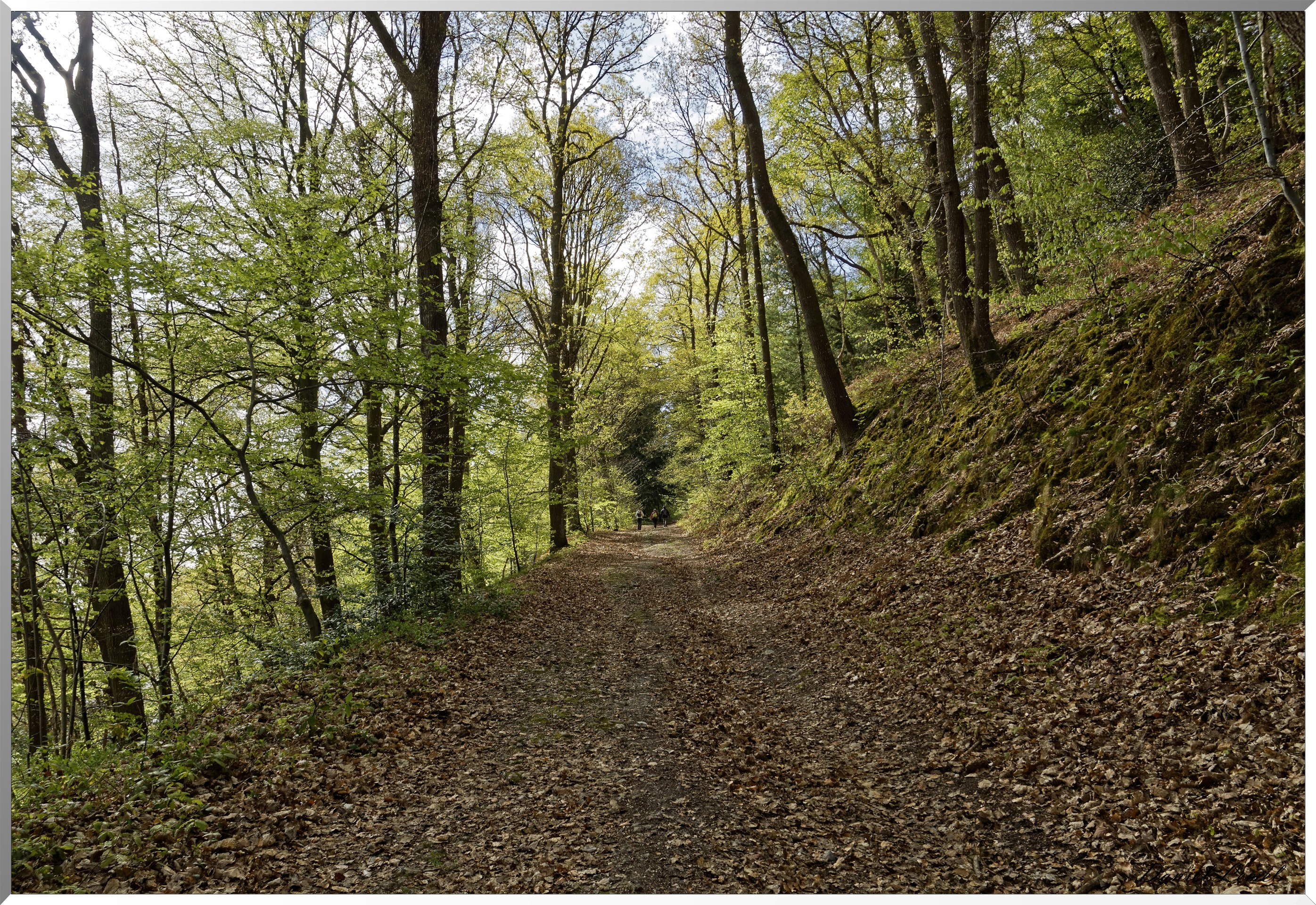 Abbaye Notre Dame du Bec Hellouin