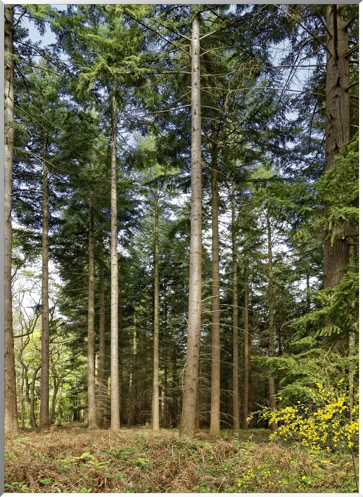 Abbaye Notre Dame du Bec Hellouin
