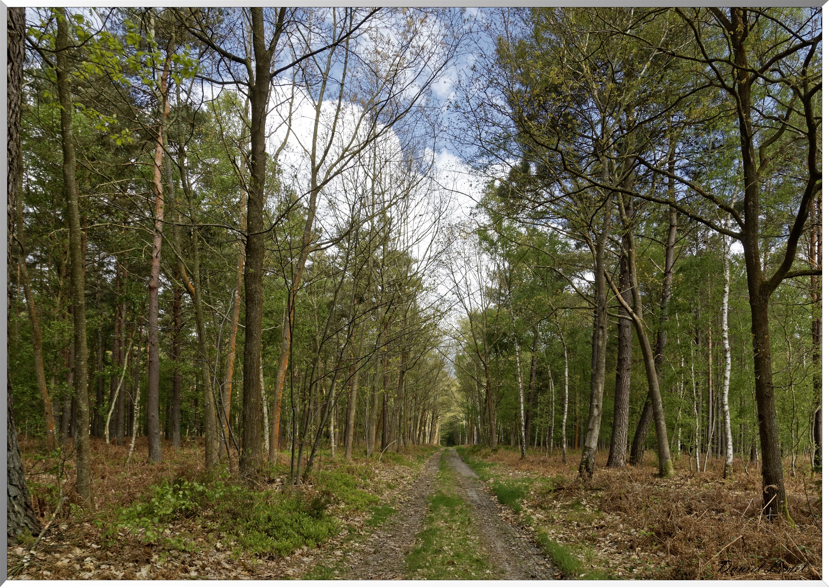 Abbaye Notre Dame du Bec Hellouin