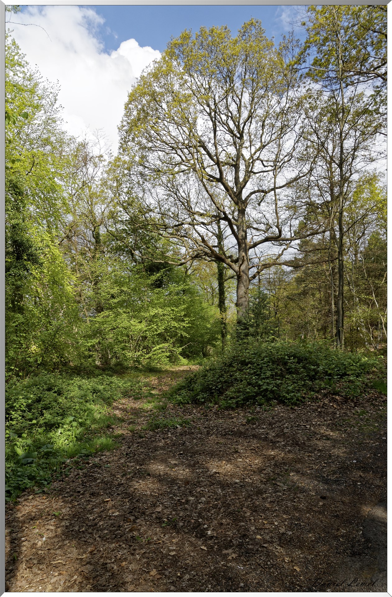 Abbaye Notre Dame du Bec Hellouin