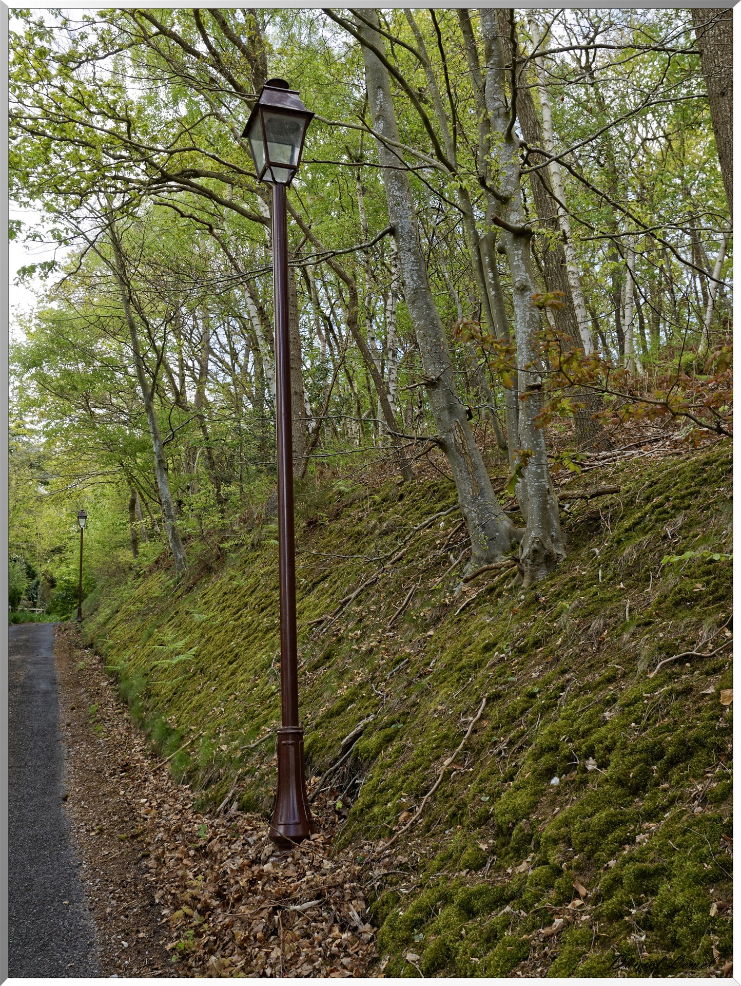 Abbaye Notre Dame du Bec Hellouin
