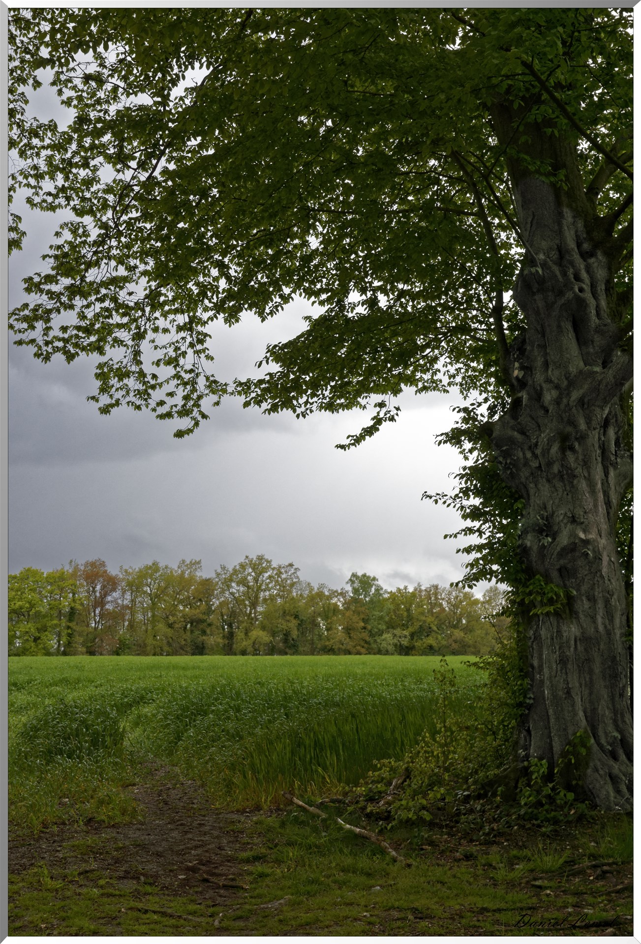 Abbaye Notre Dame du Bec Hellouin