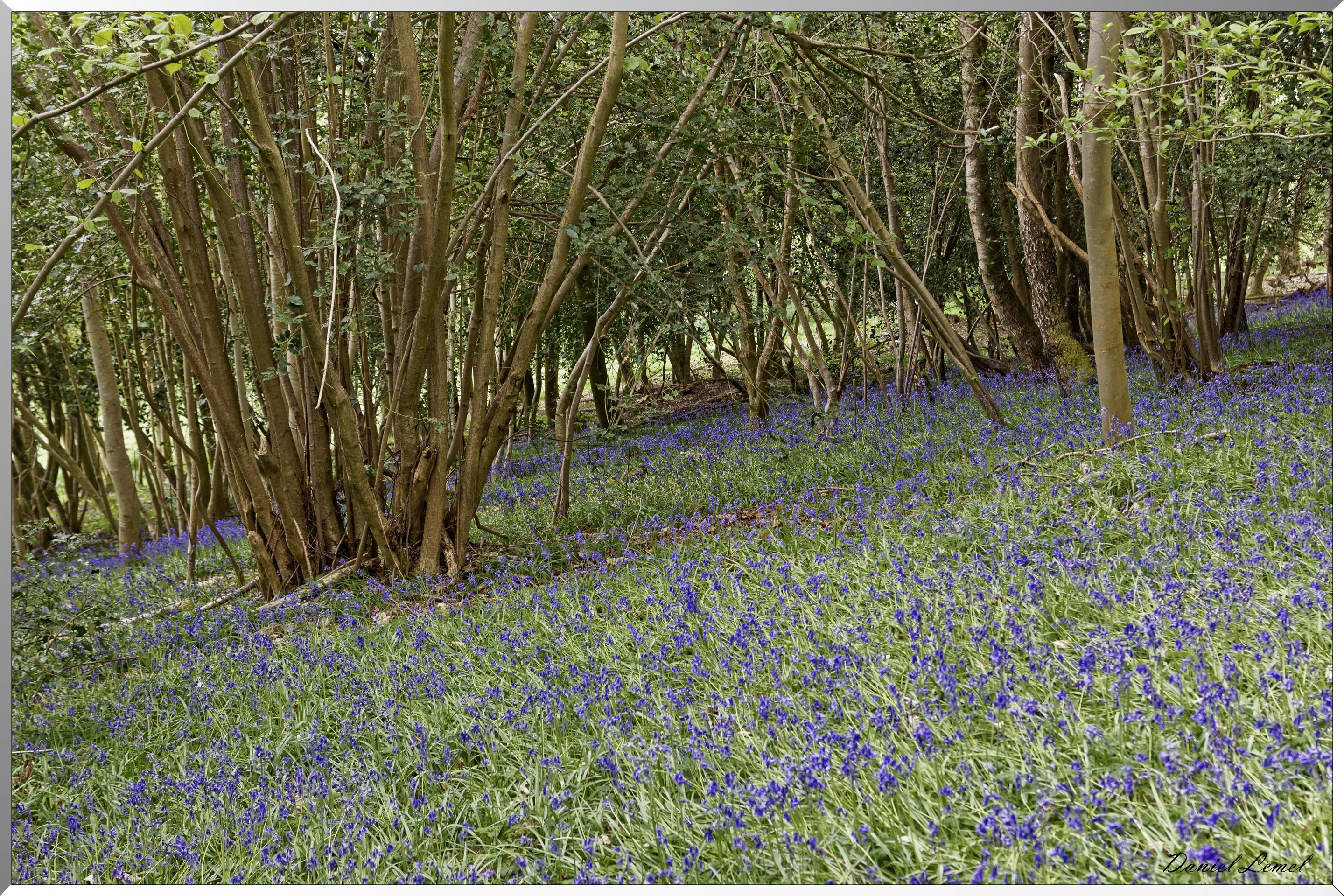 Abbaye Notre Dame du Bec Hellouin
