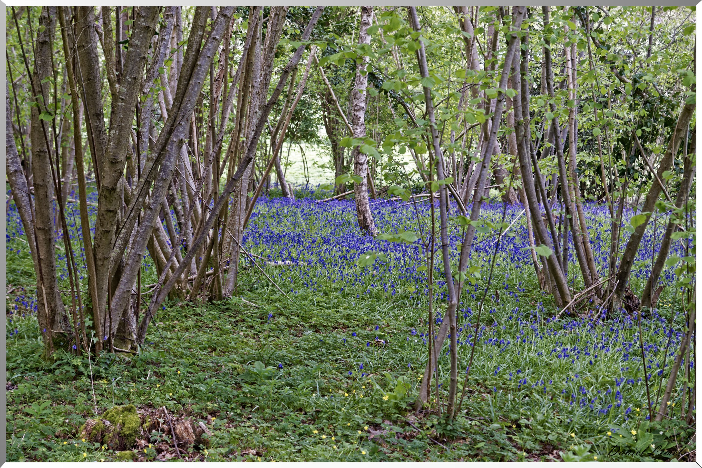 Abbaye Notre Dame du Bec Hellouin