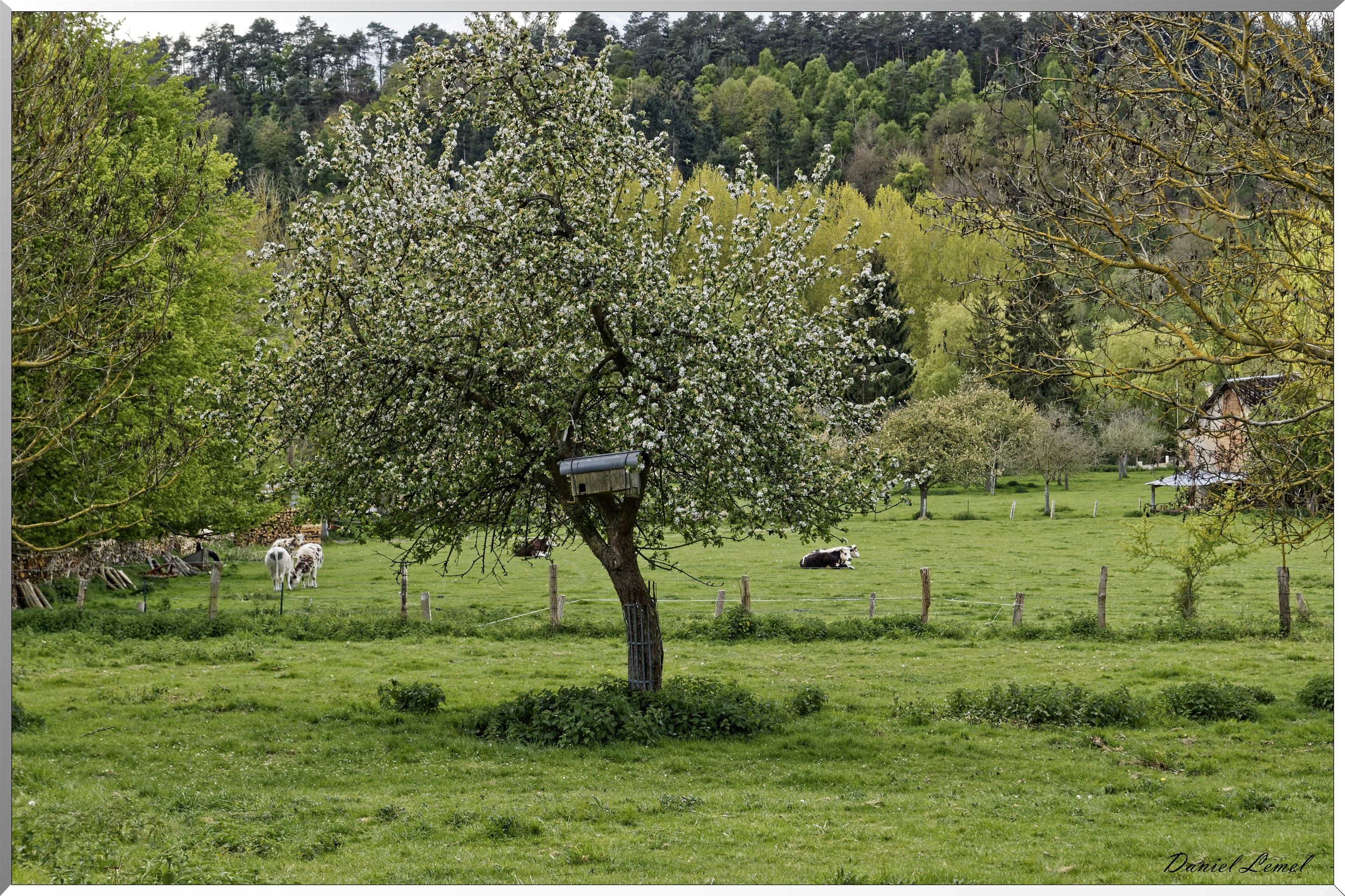 Abbaye Notre Dame du Bec Hellouin
