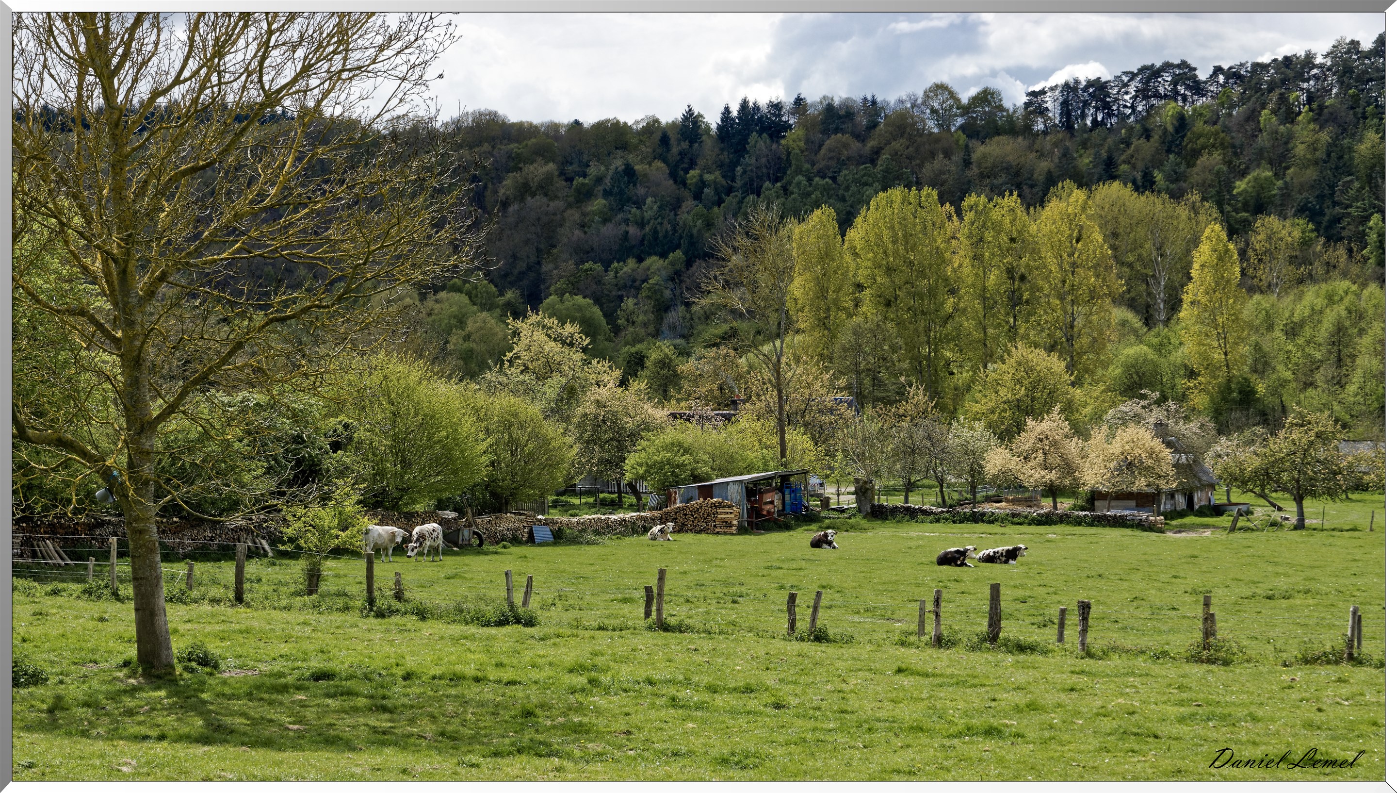 Abbaye Notre Dame du Bec Hellouin