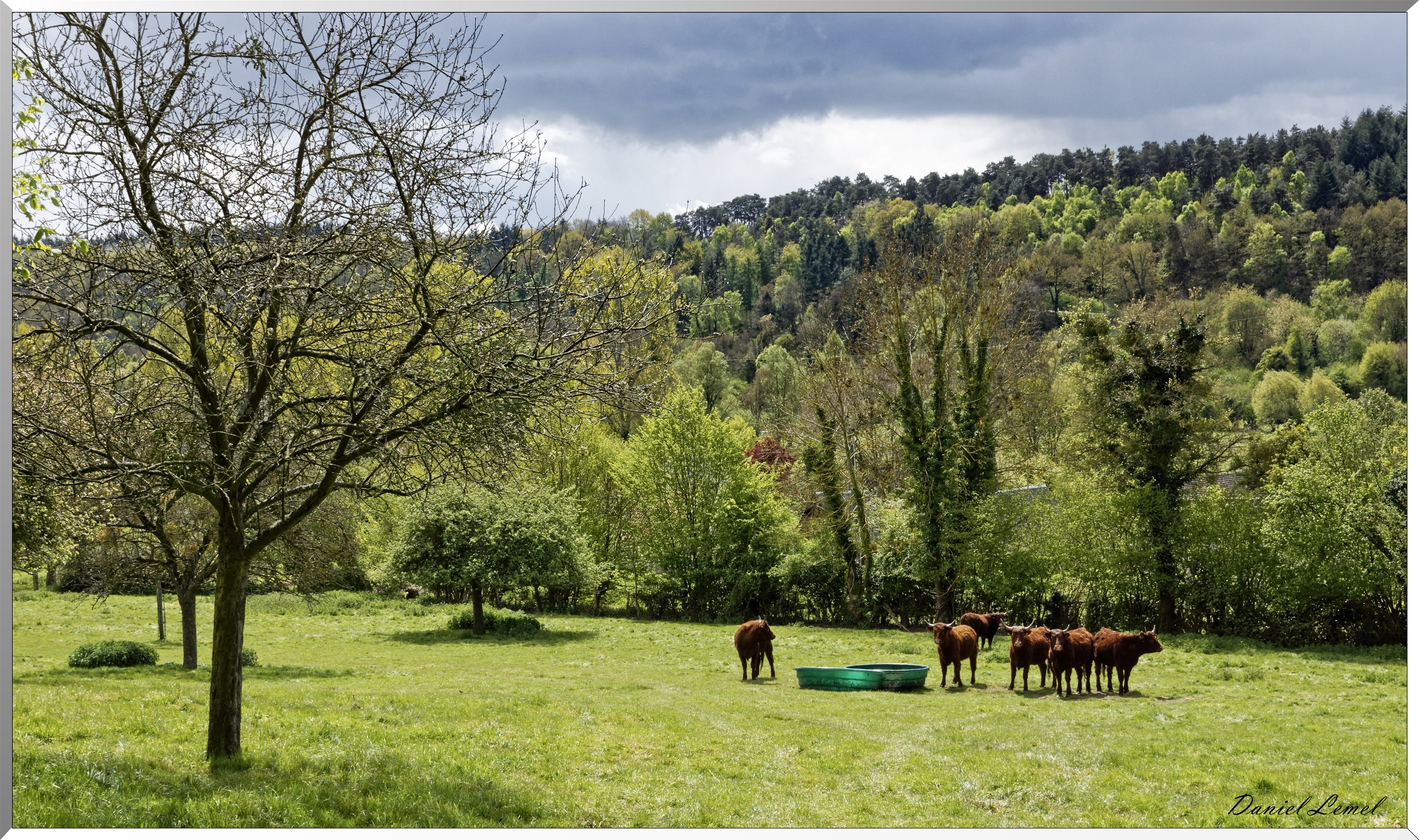 Abbaye Notre Dame du Bec Hellouin