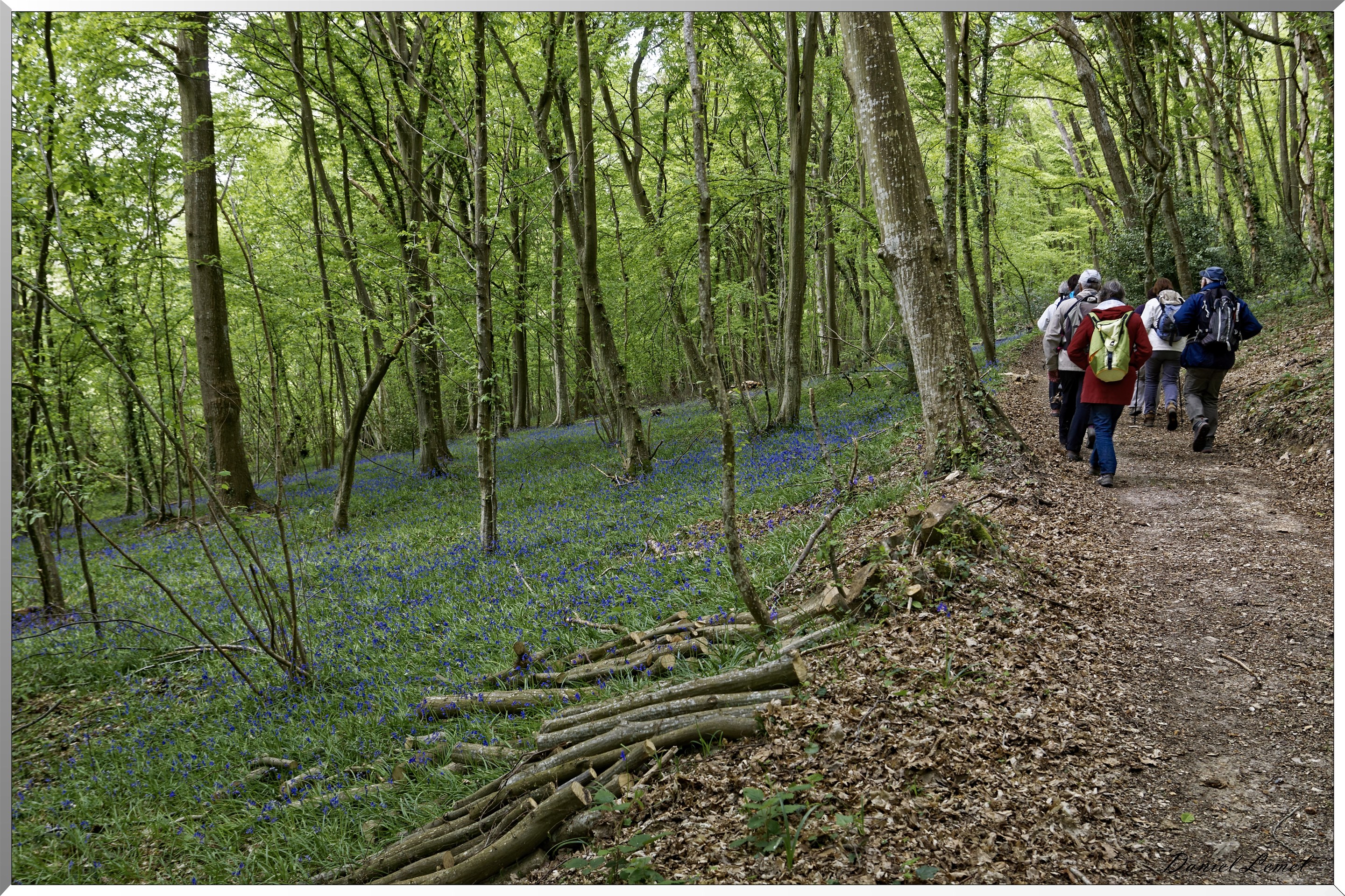 Abbaye Notre Dame du Bec Hellouin