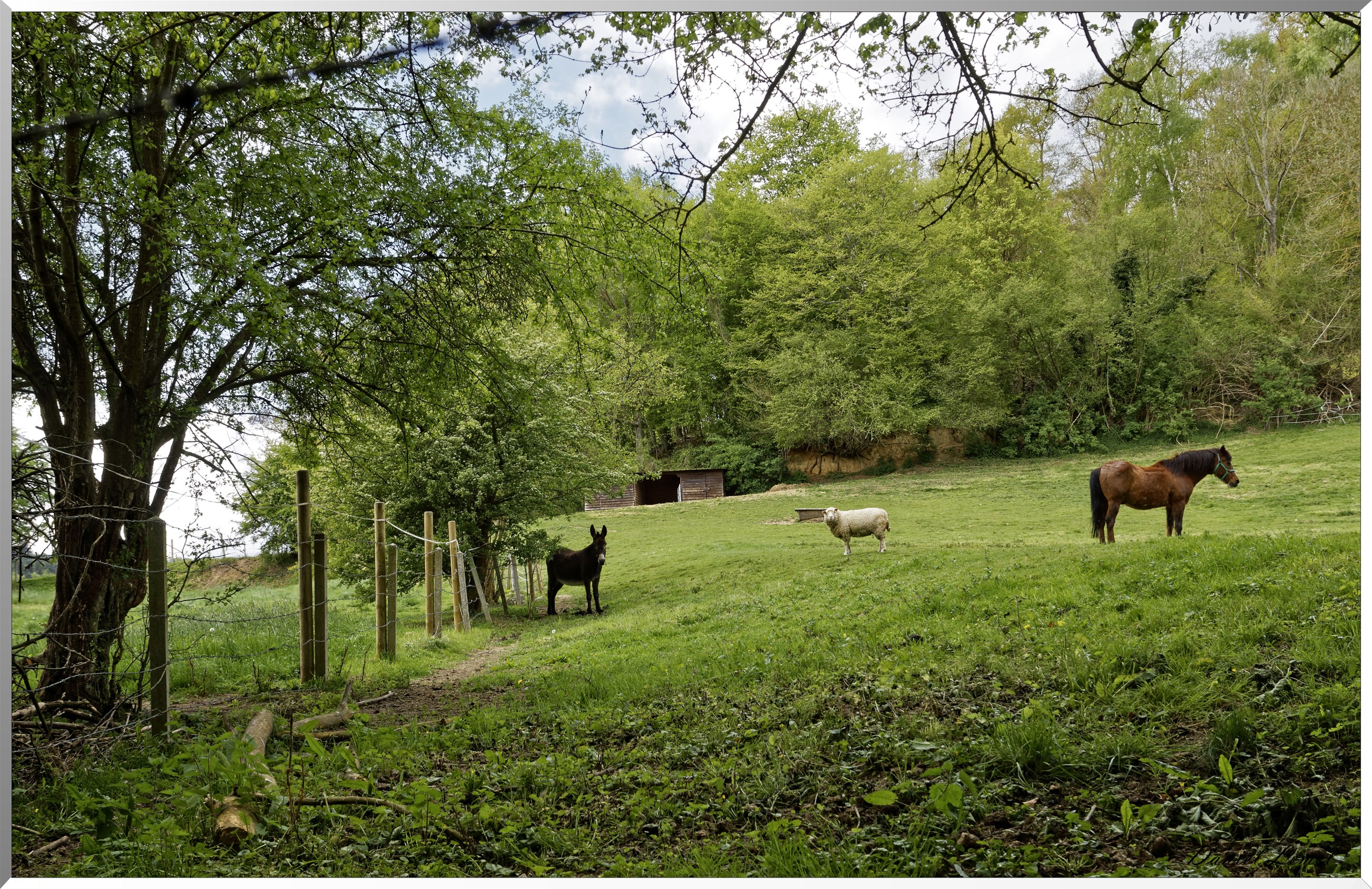 Abbaye Notre Dame du Bec Hellouin
