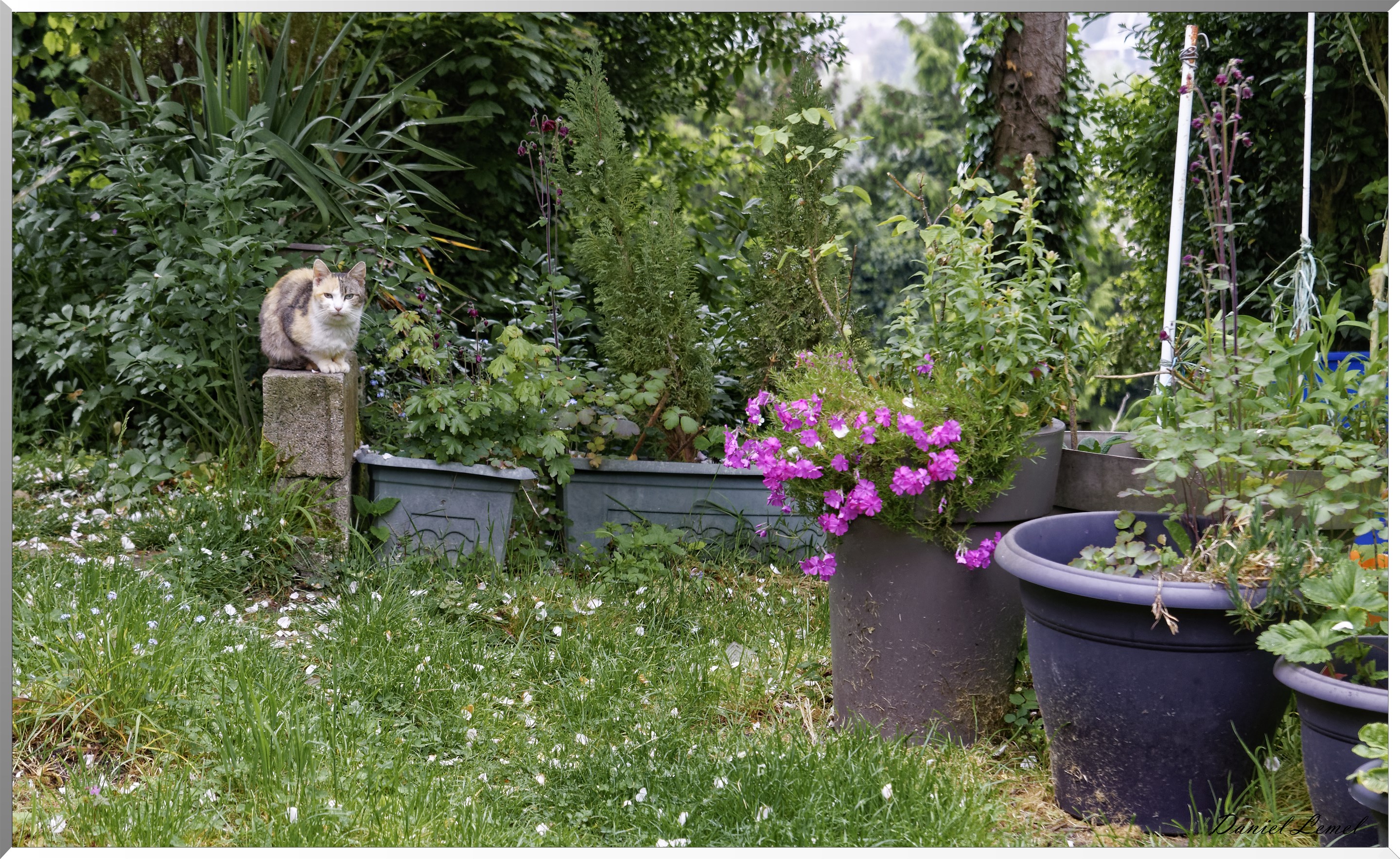 Le familistère et le château de Guise