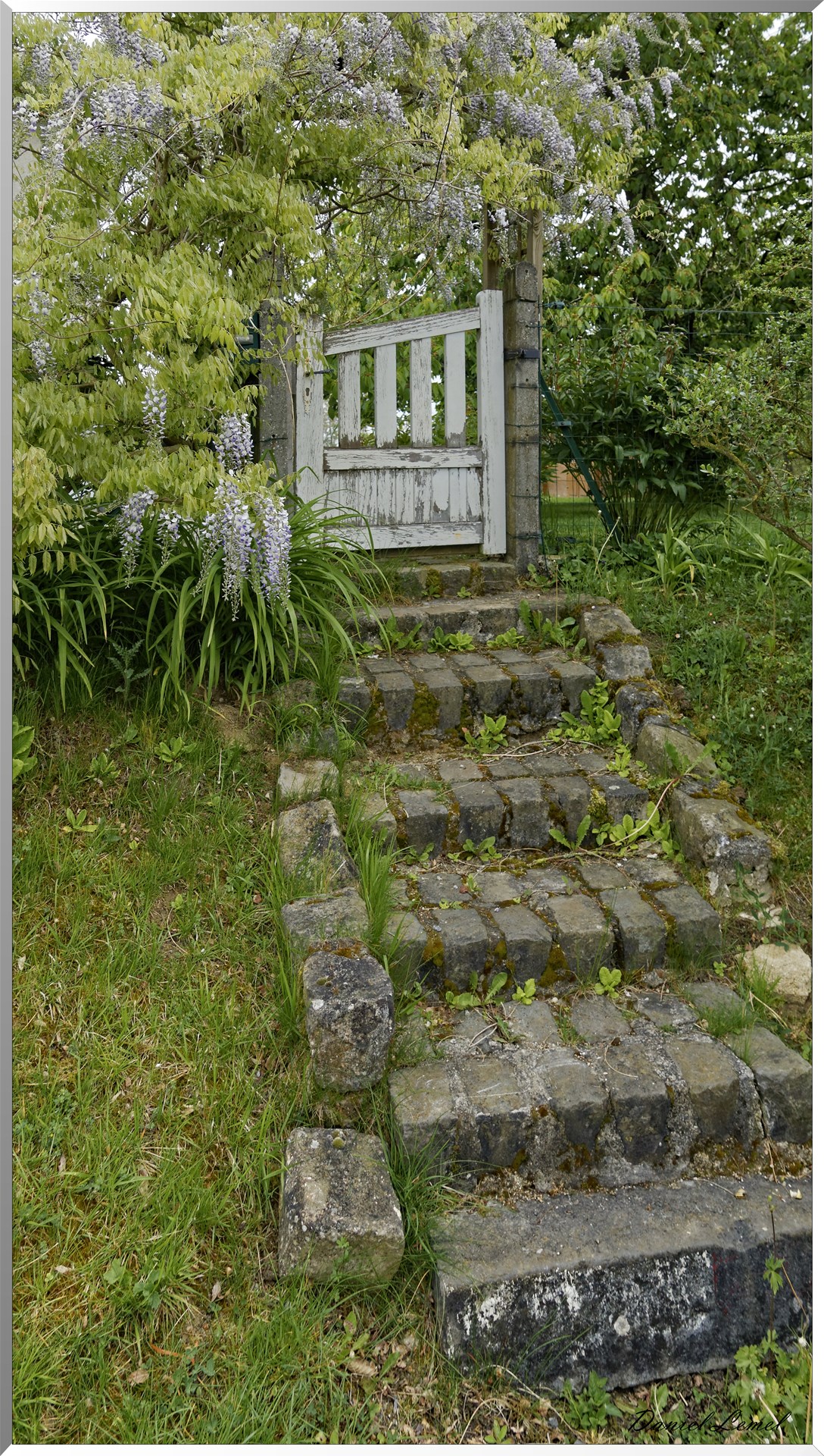 Le familistère et le château de Guise