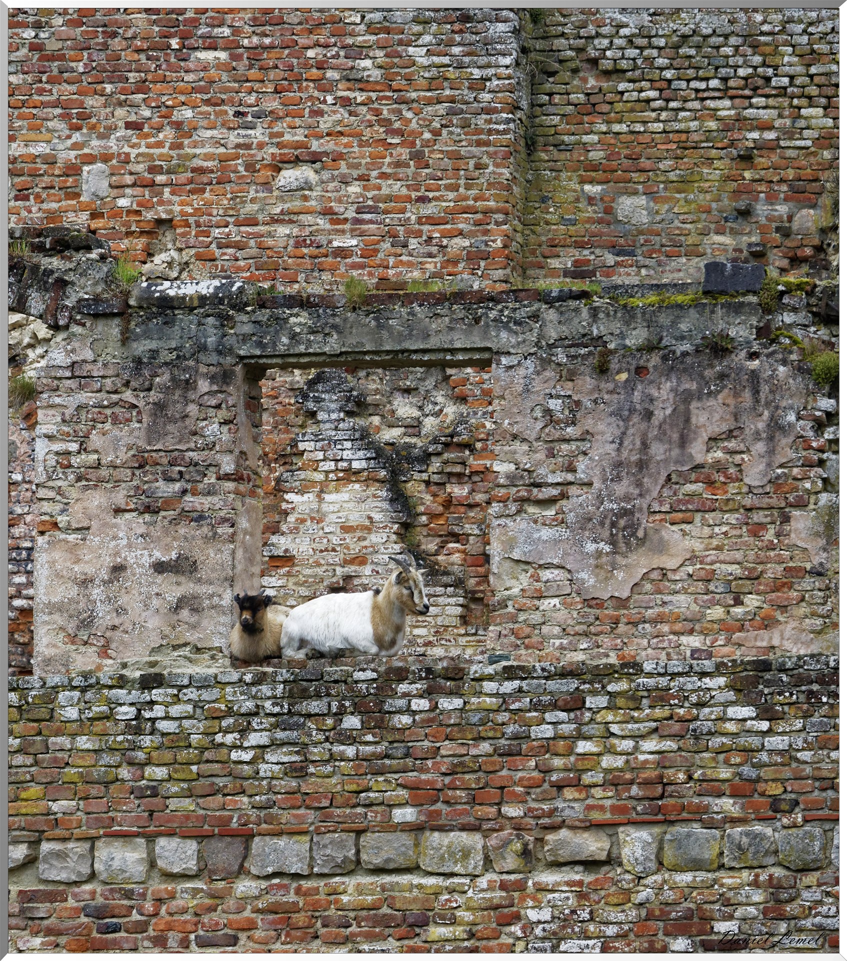 Le familistère et le château de Guise