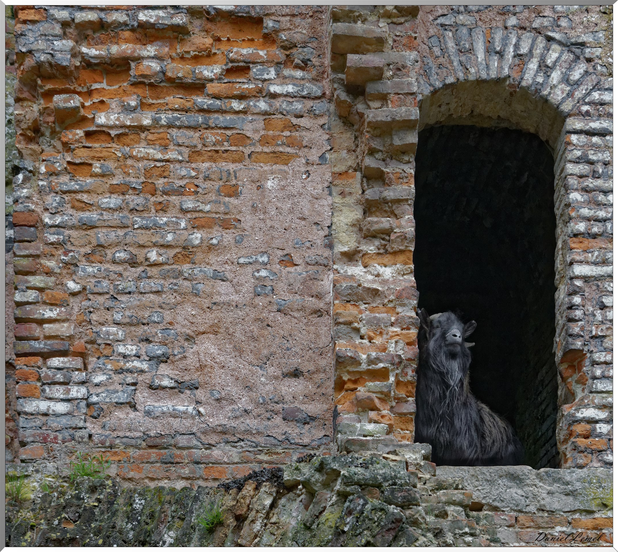 Le familistère et le château de Guise