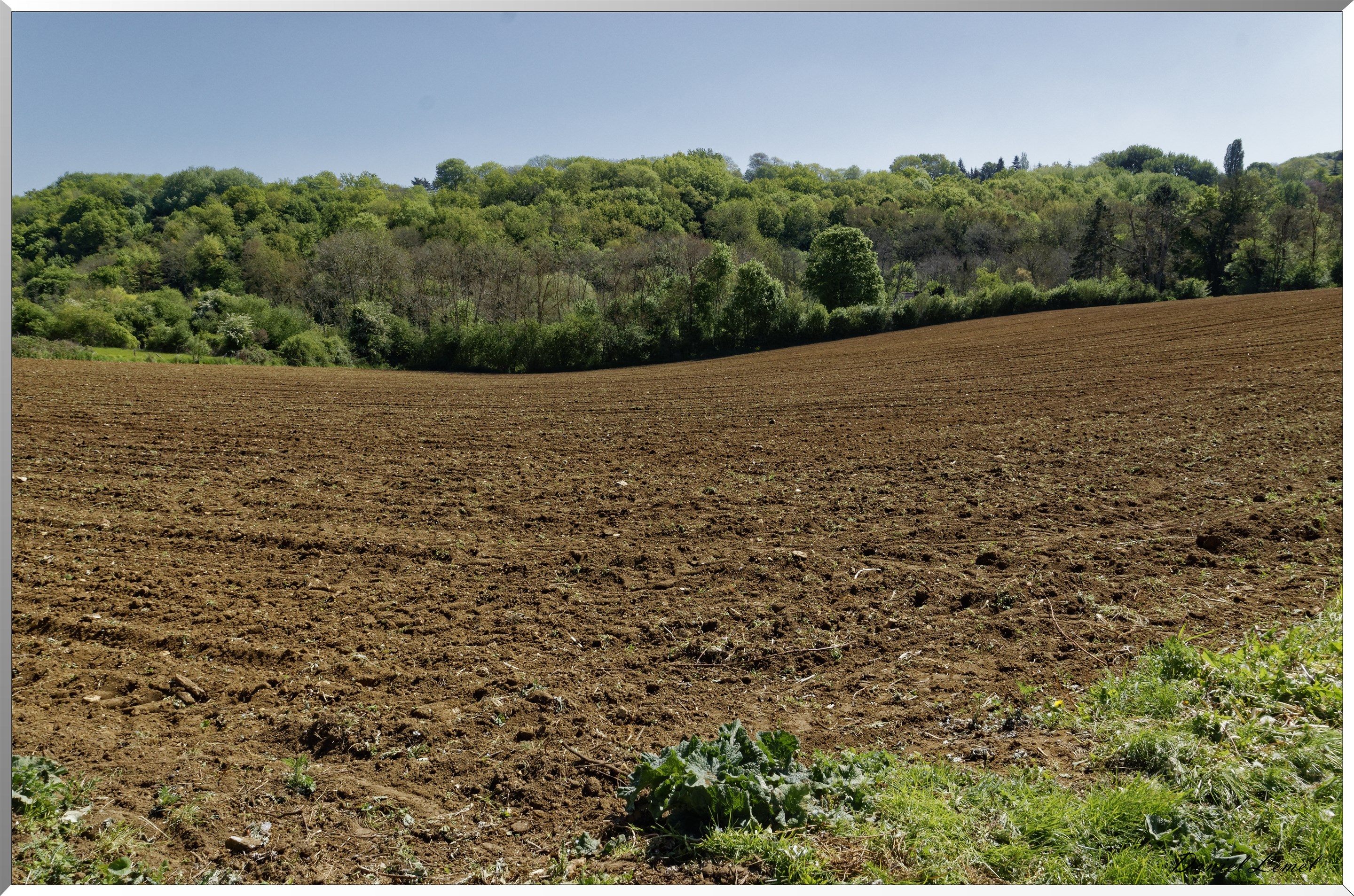 Saint-Pierre-de-Bailleul