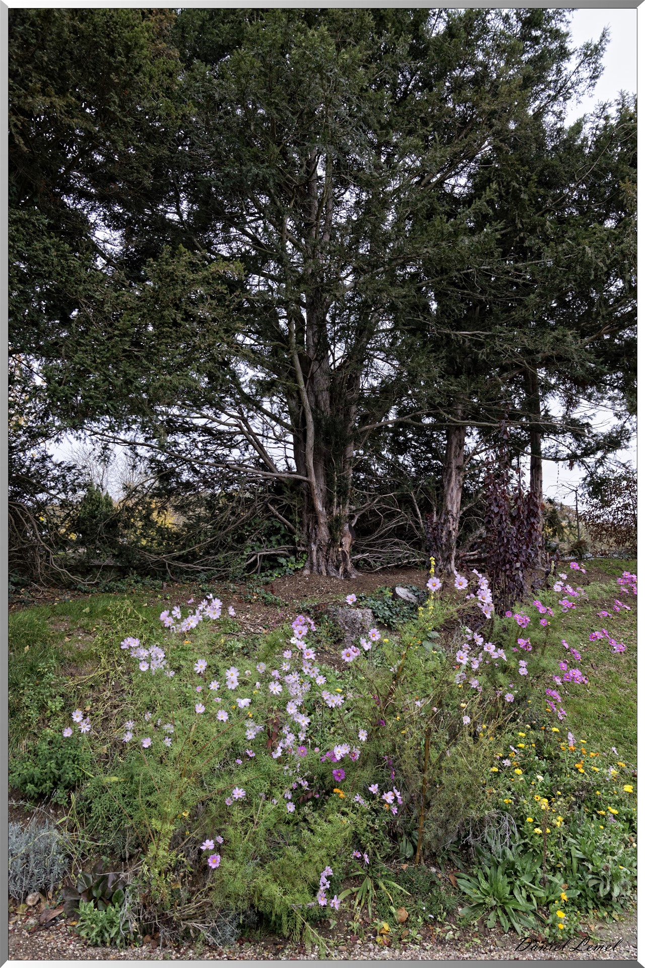 Giverny