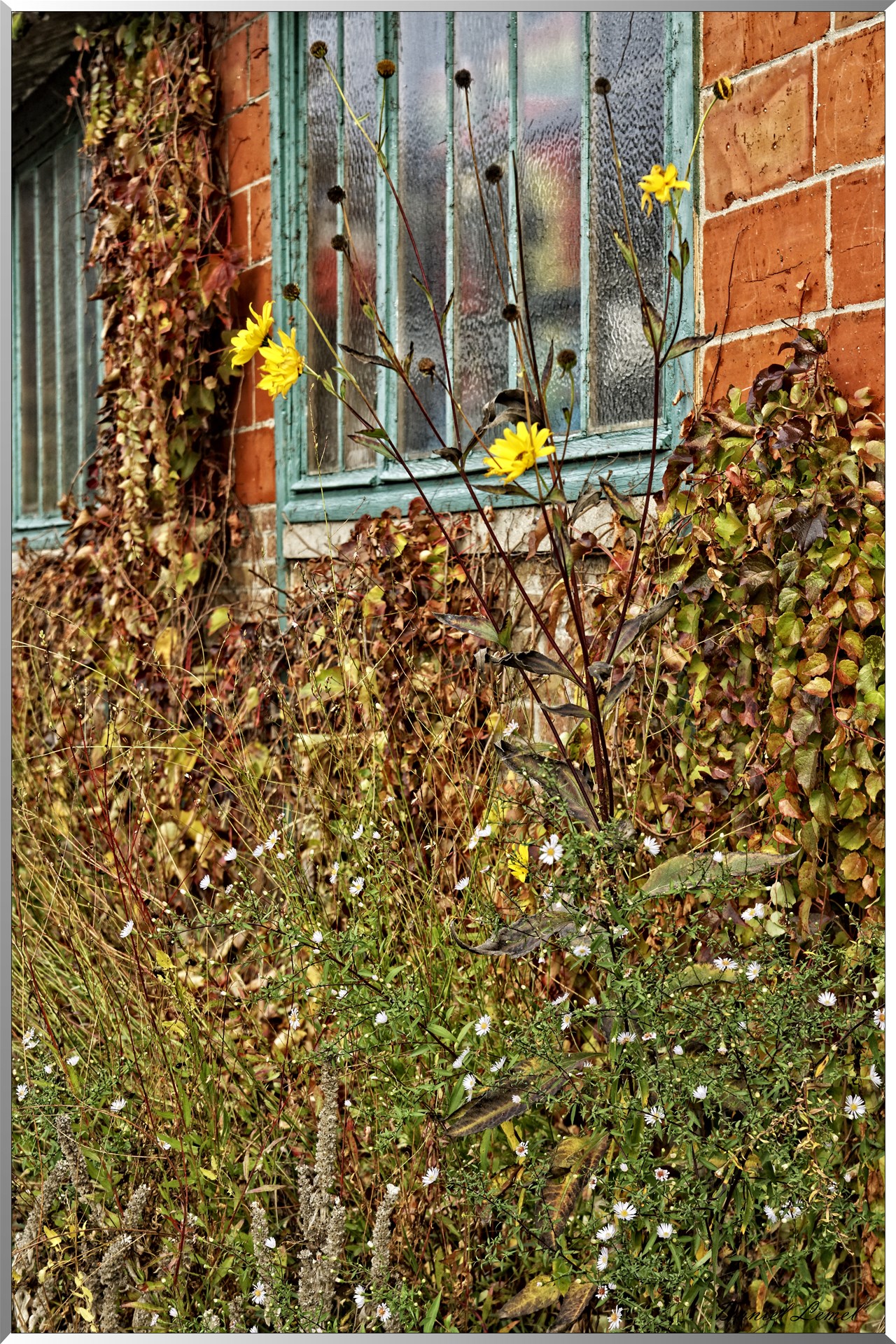 Giverny
