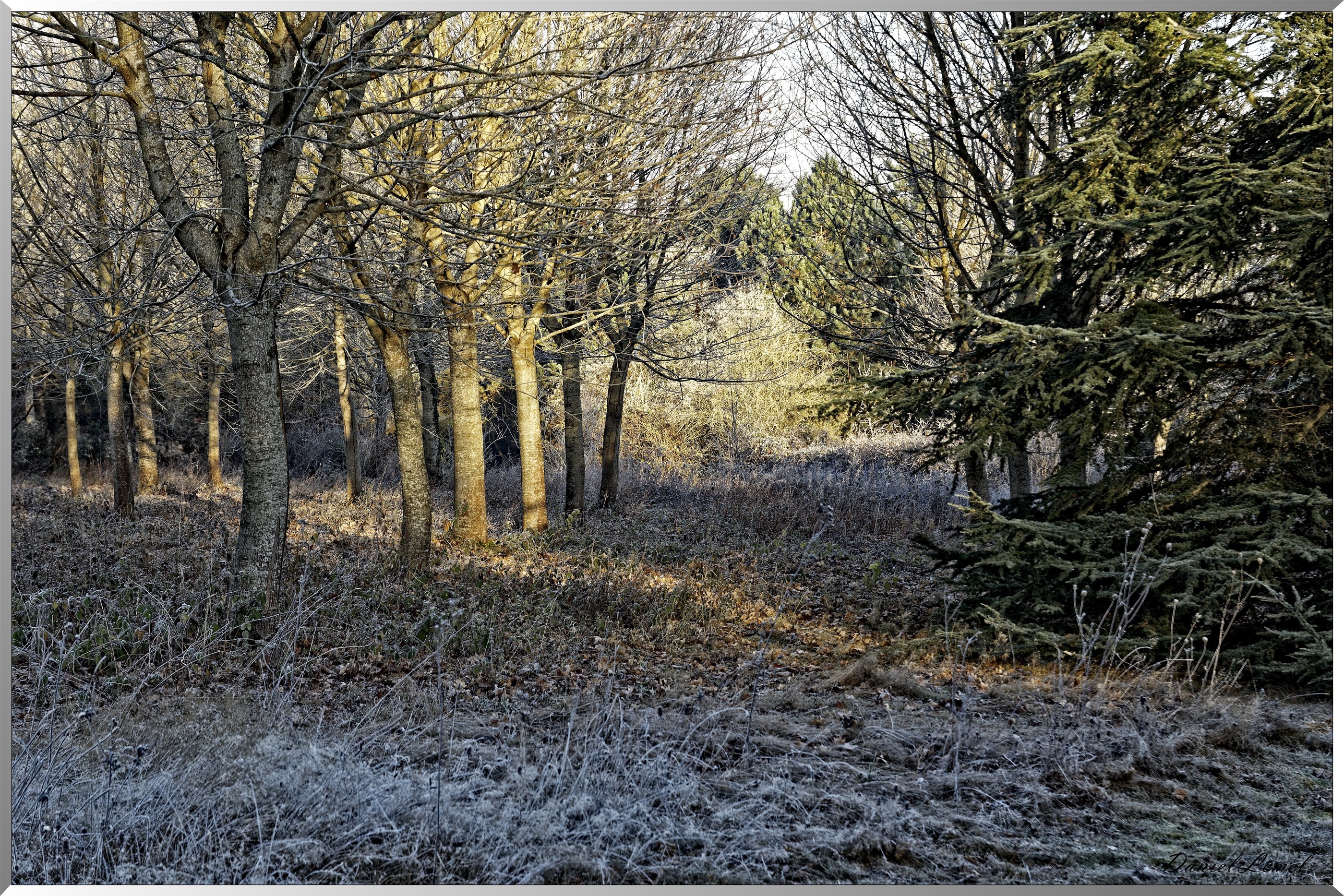 Arboretum - La Roche-Guyon