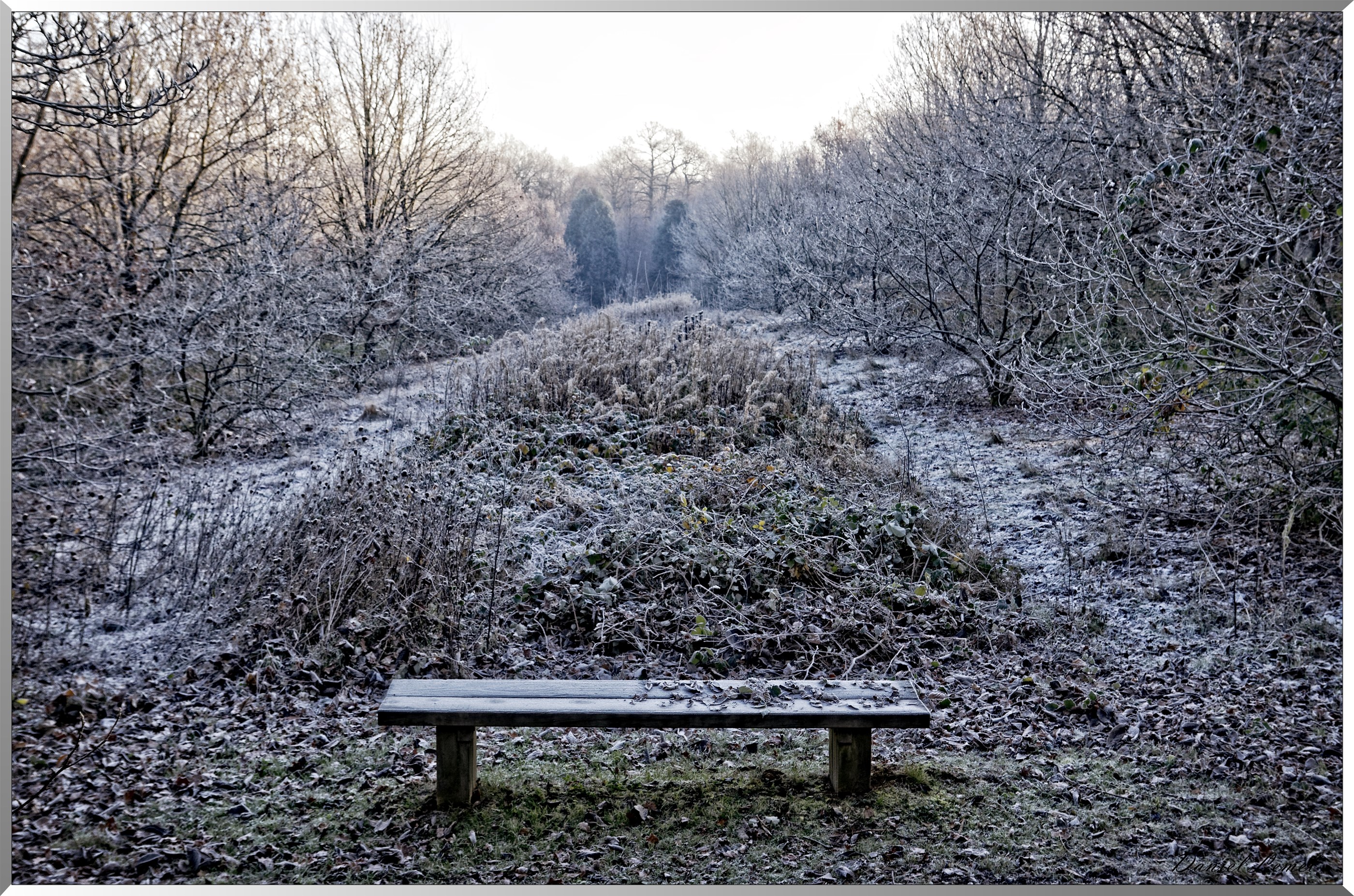 Arboretum - La Roche-Guyon