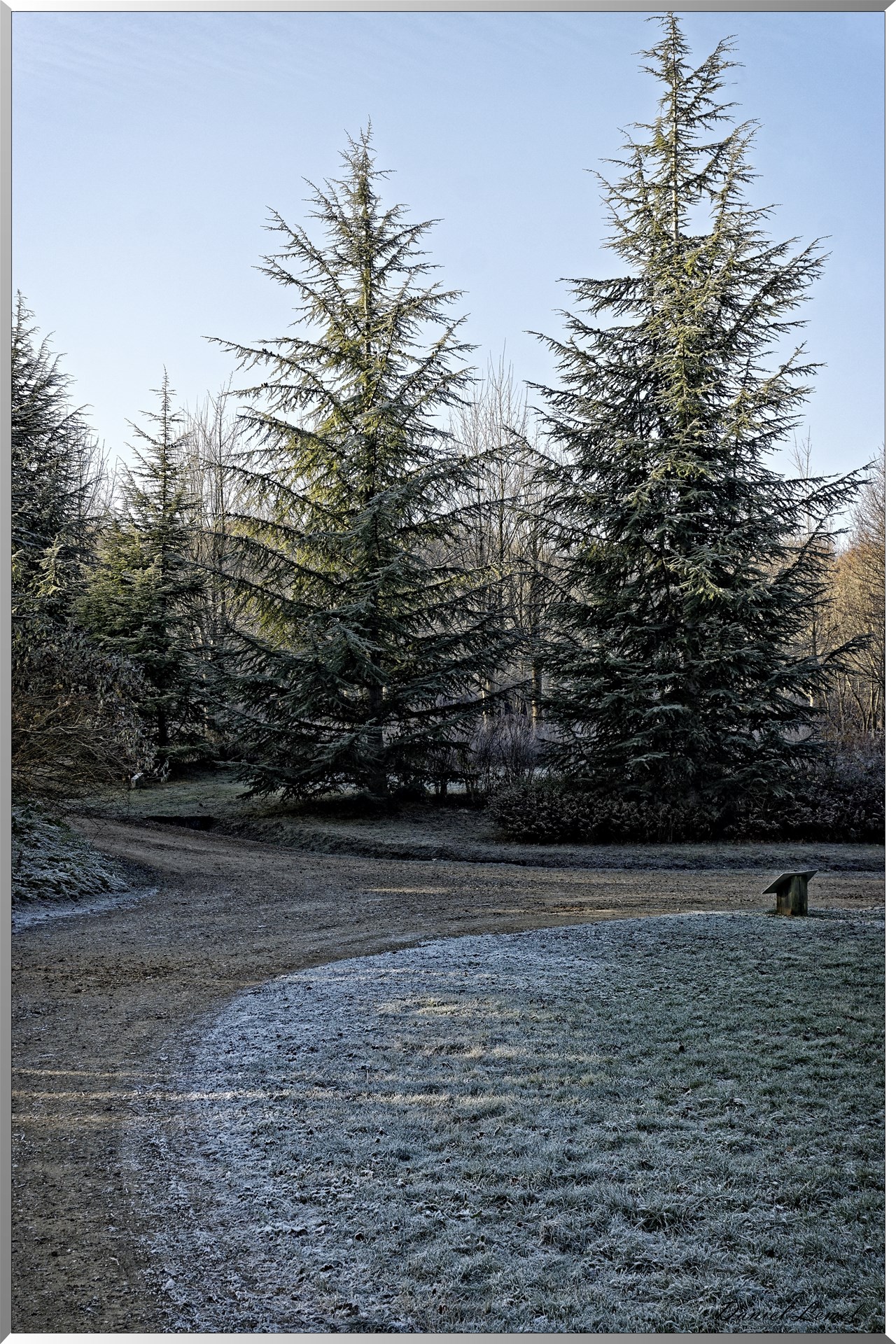 Arboretum - La Roche-Guyon