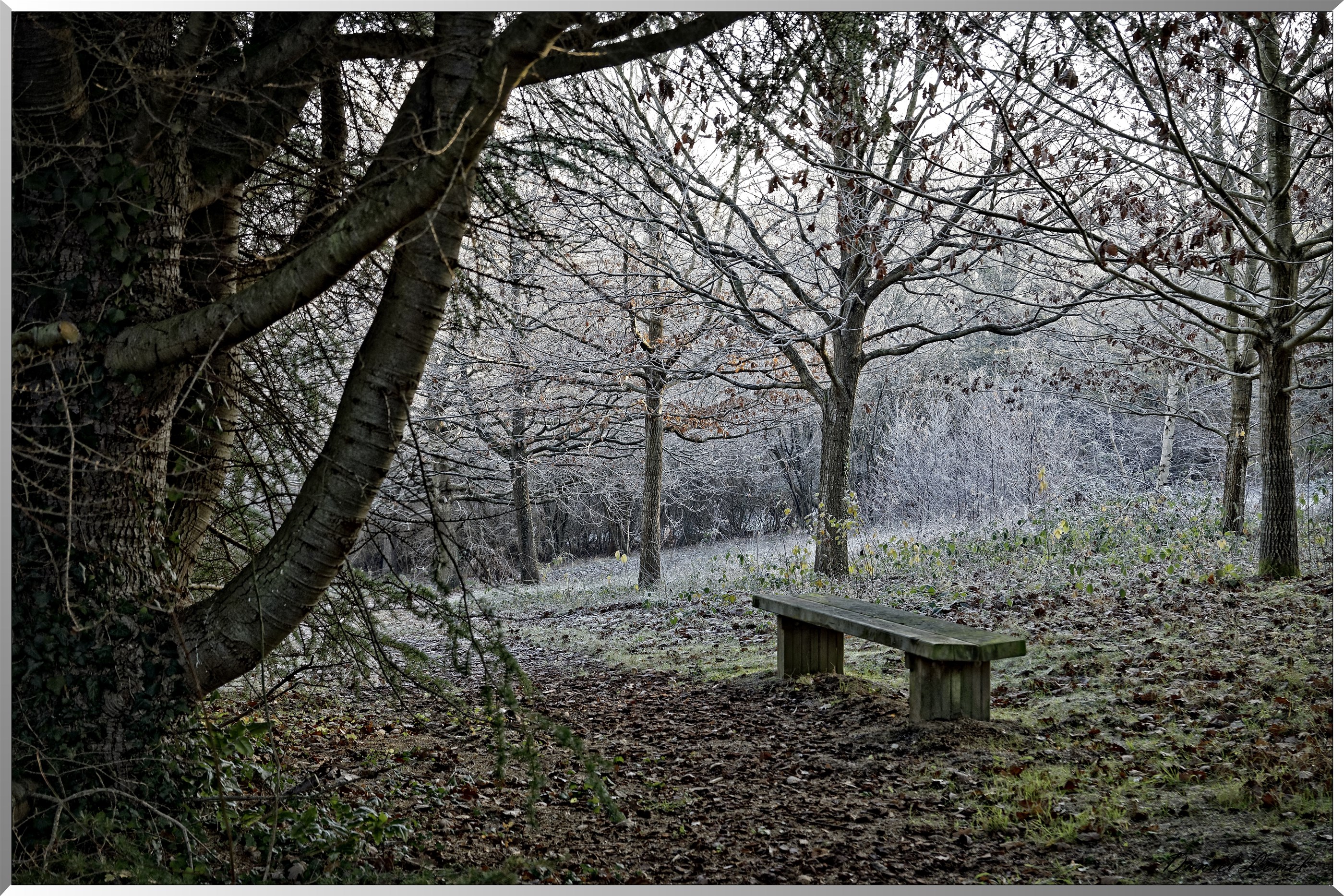 Arboretum - La Roche-Guyon