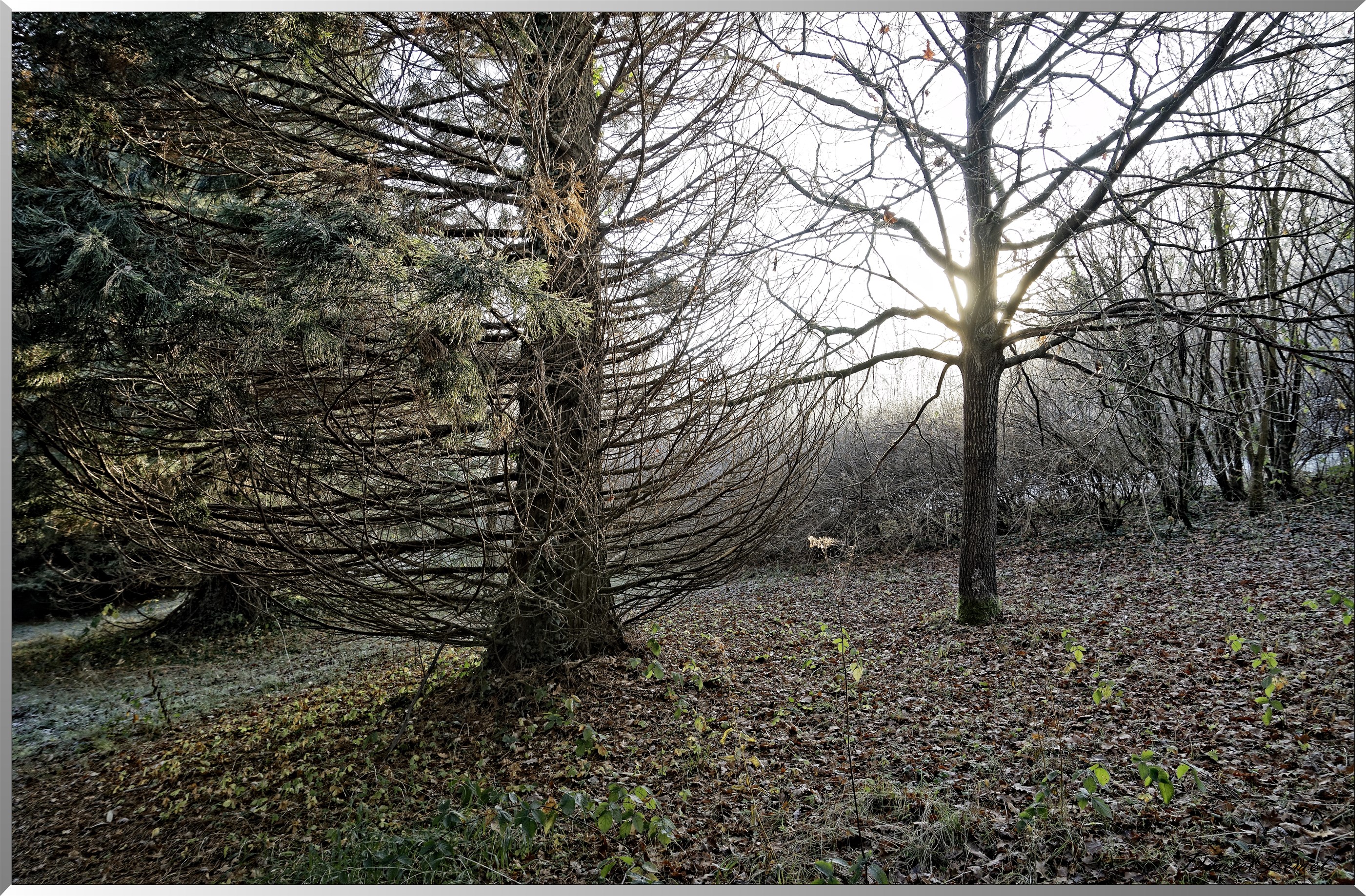 Arboretum - La Roche-Guyon
