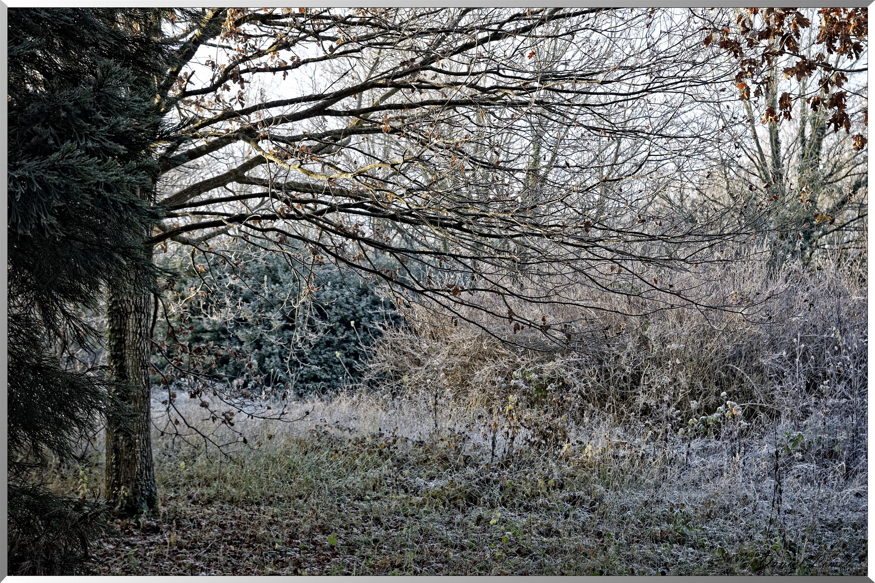 Arboretum - La Roche-Guyon