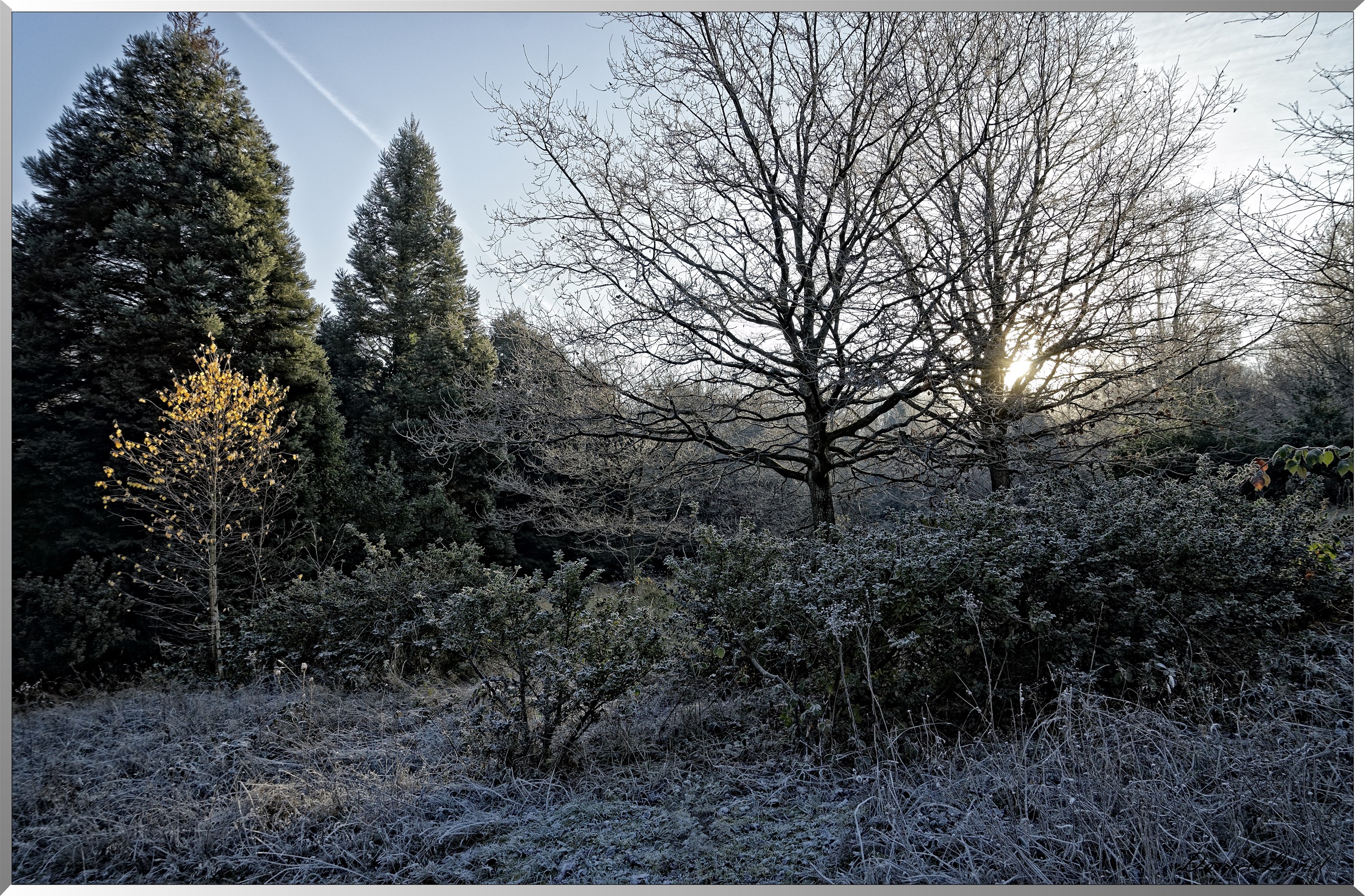 Arboretum - La Roche-Guyon