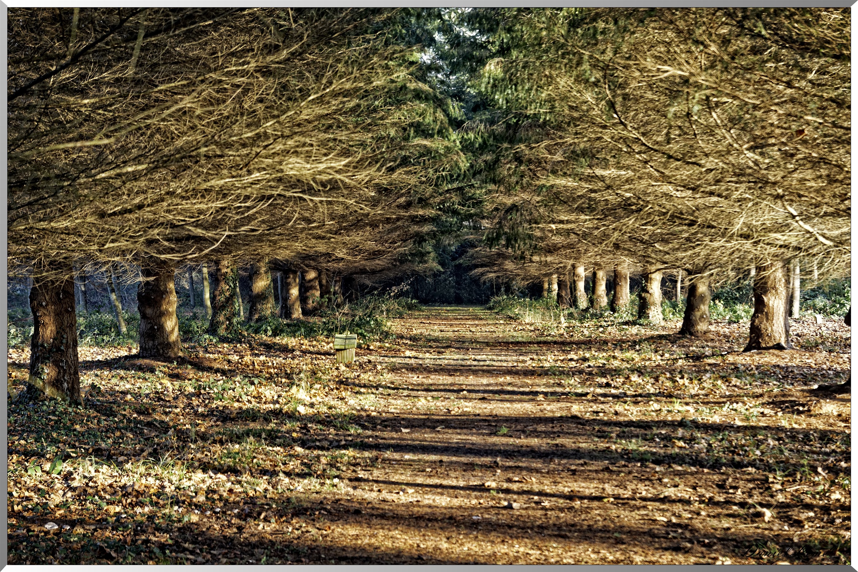 Arboretum - La Roche-Guyon