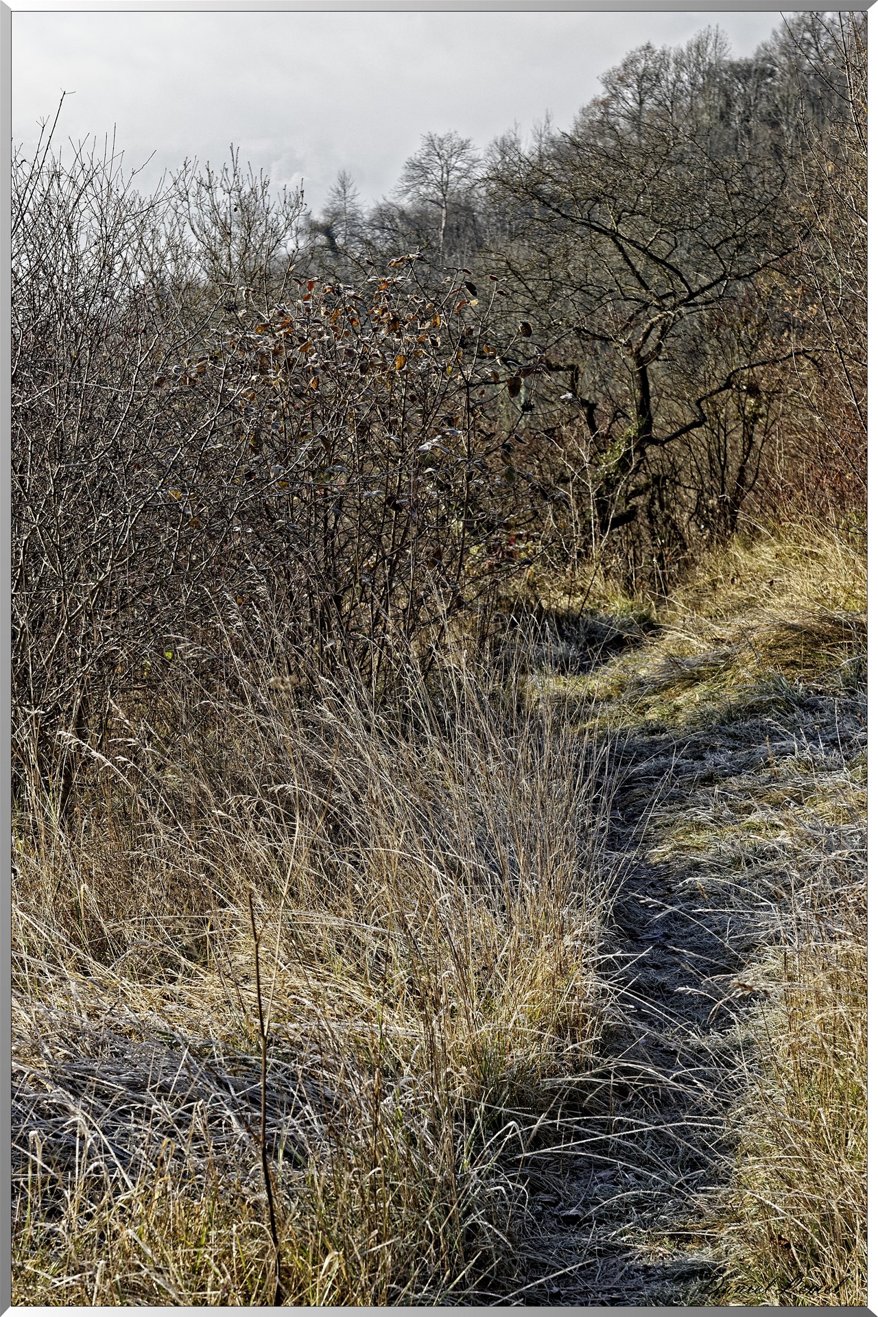 Arboretum - La Roche-Guyon