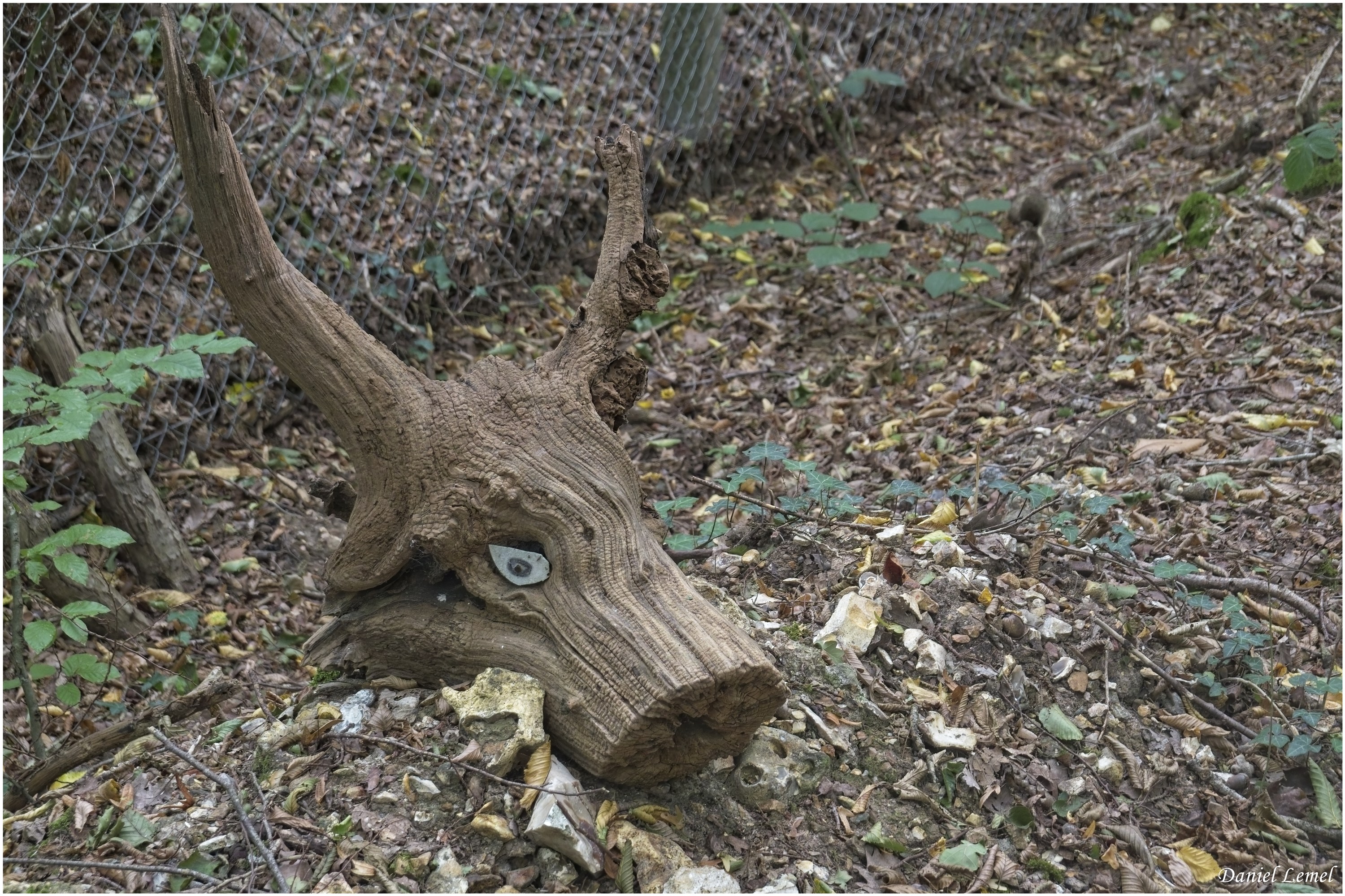 Bois-Jérôme-St-Ouen