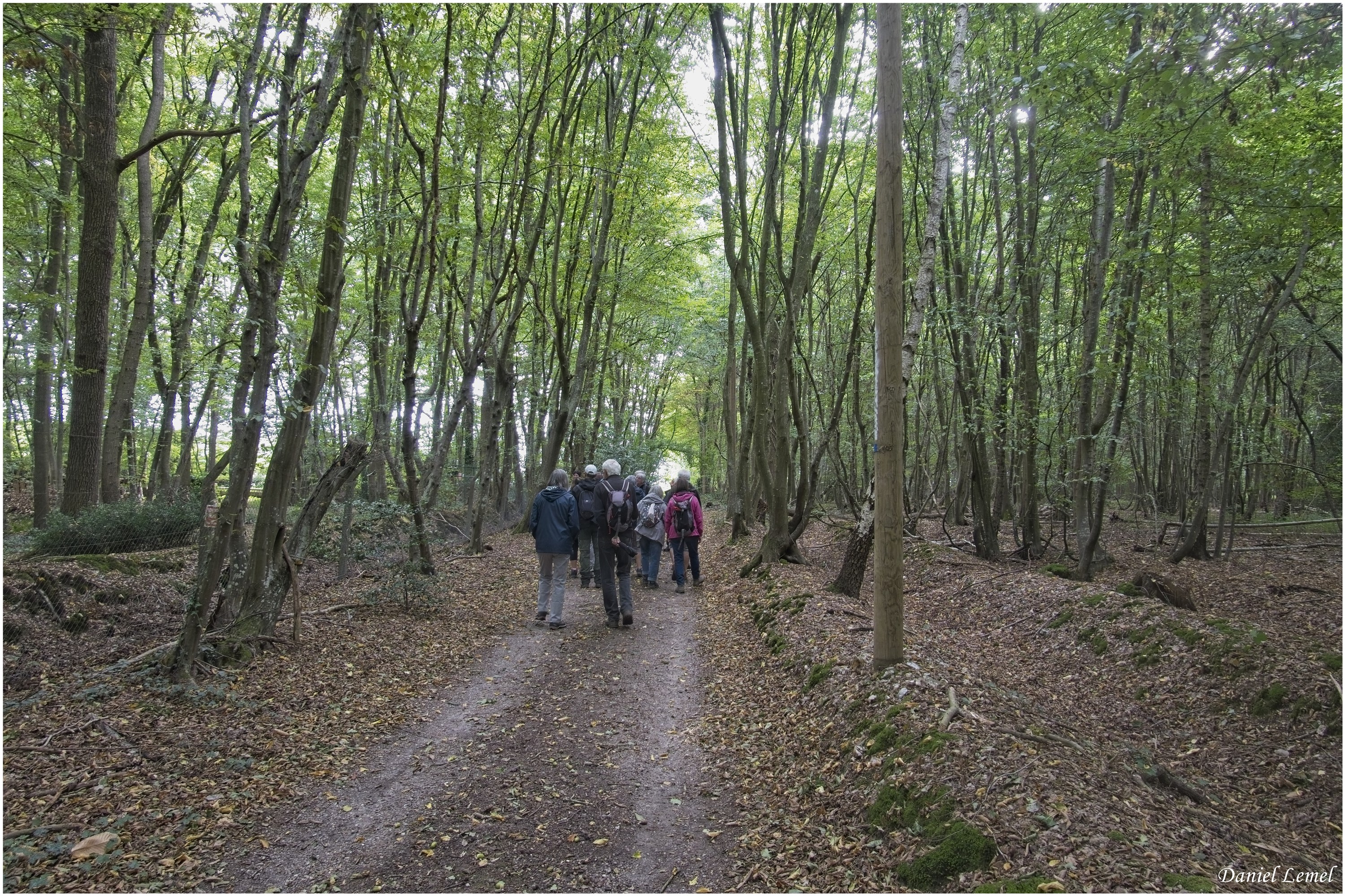 Bois-Jérôme-St-Ouen