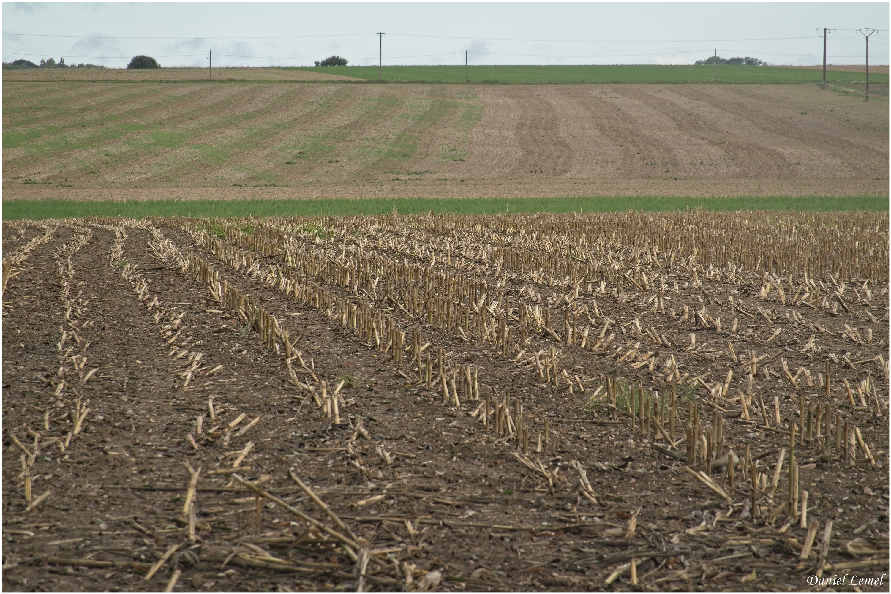 Bois-Jérôme-St-Ouen