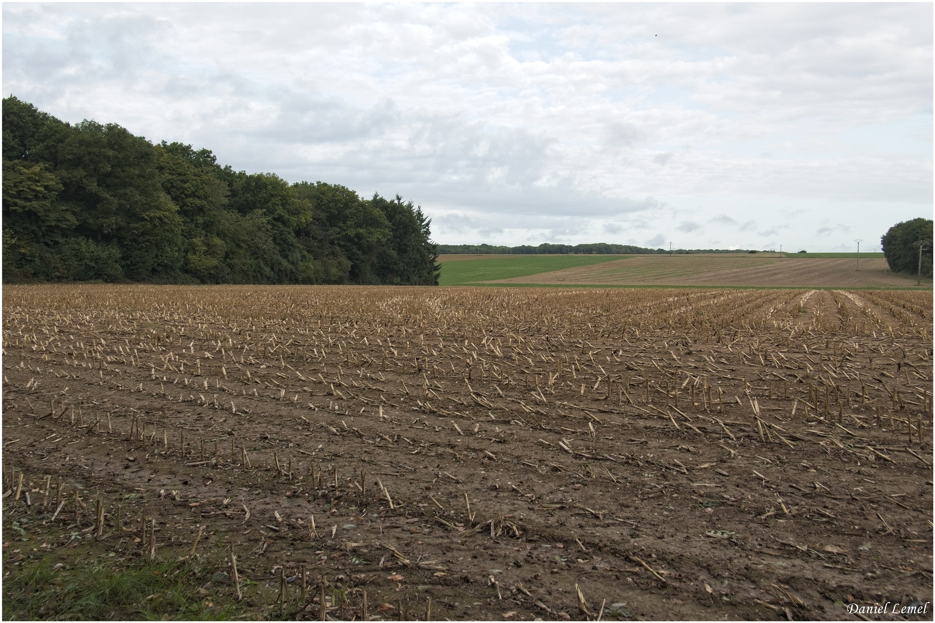 Bois-Jérôme-St-Ouen