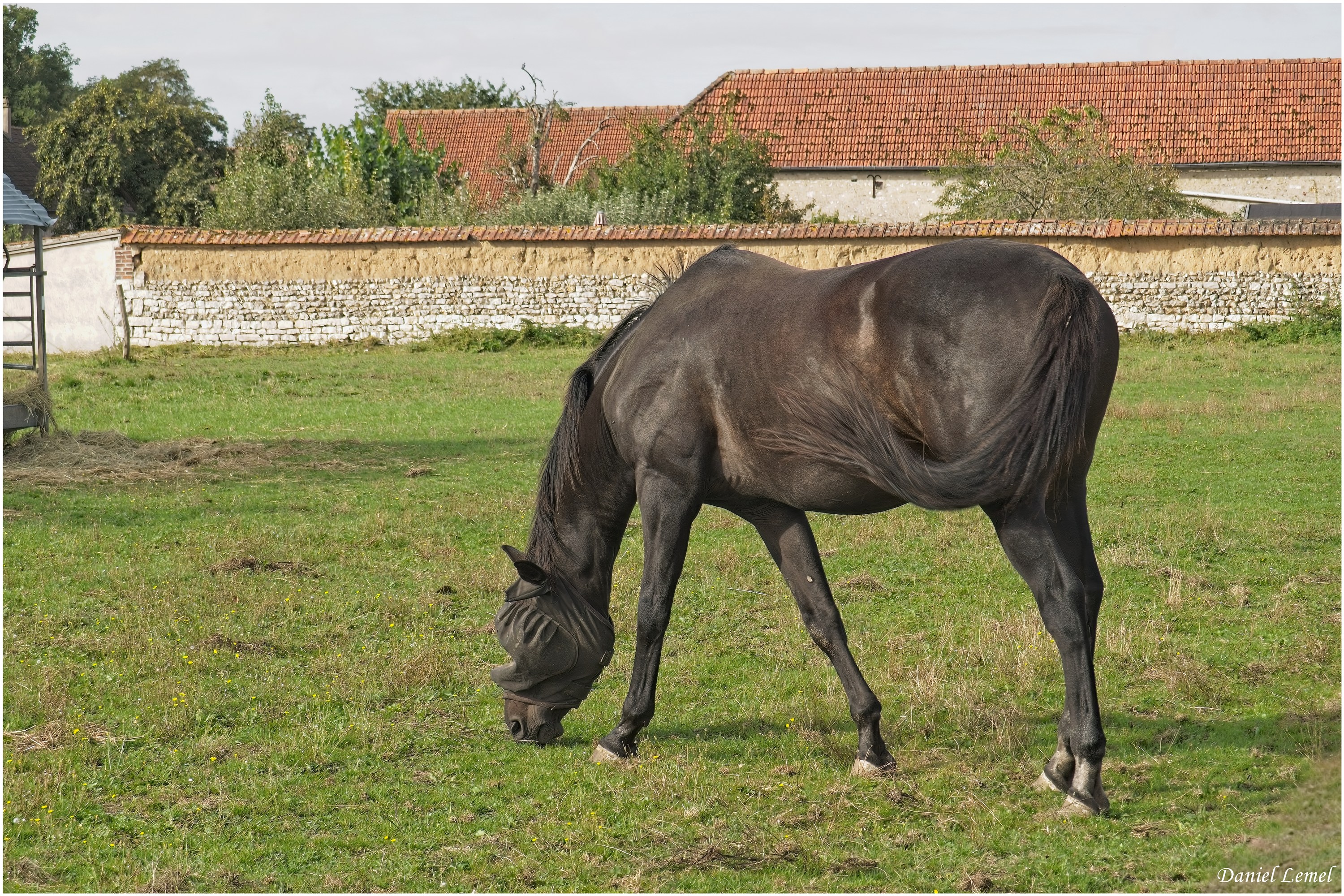 Bois-Jérôme-St-Ouen