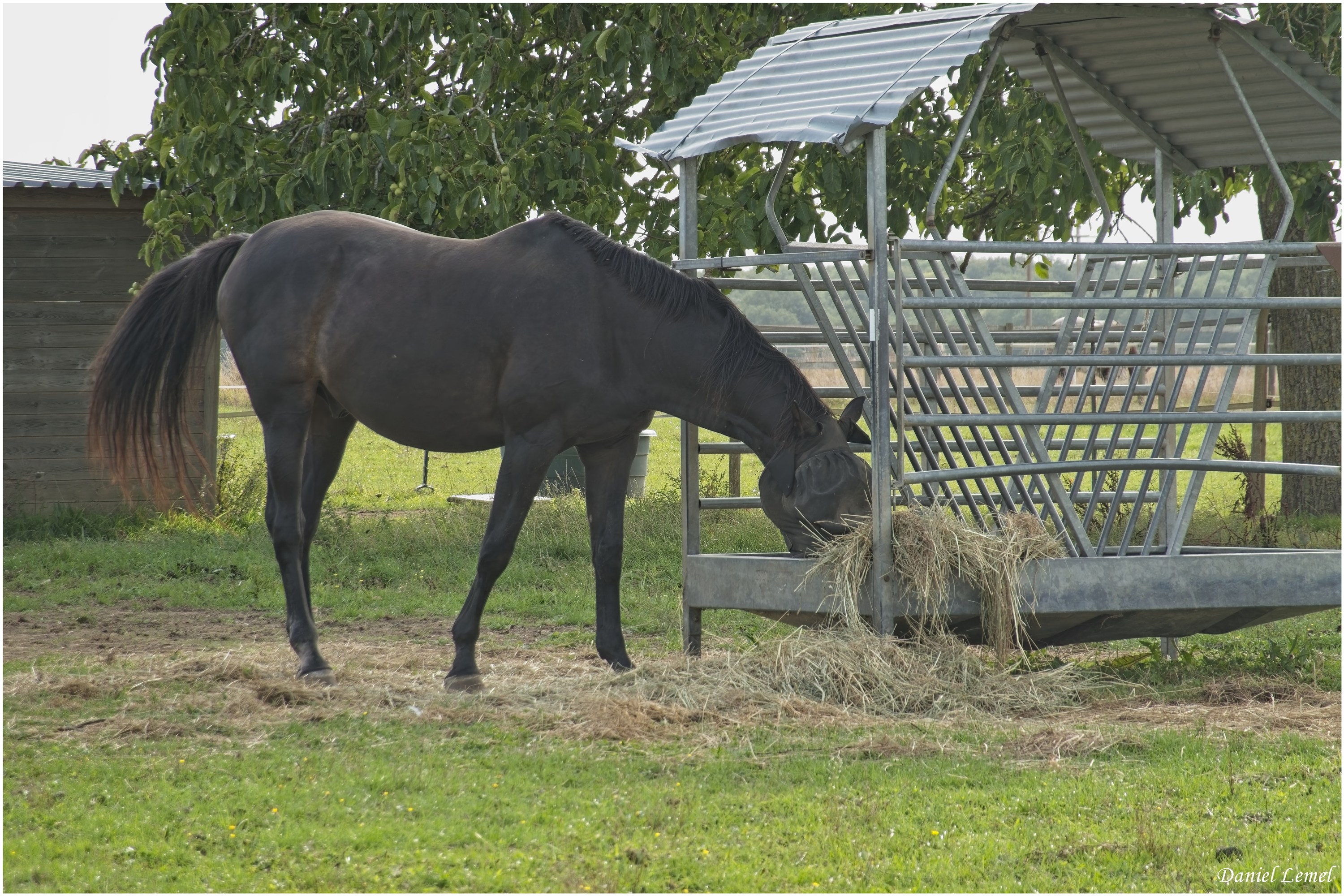 Bois-Jérôme-St-Ouen