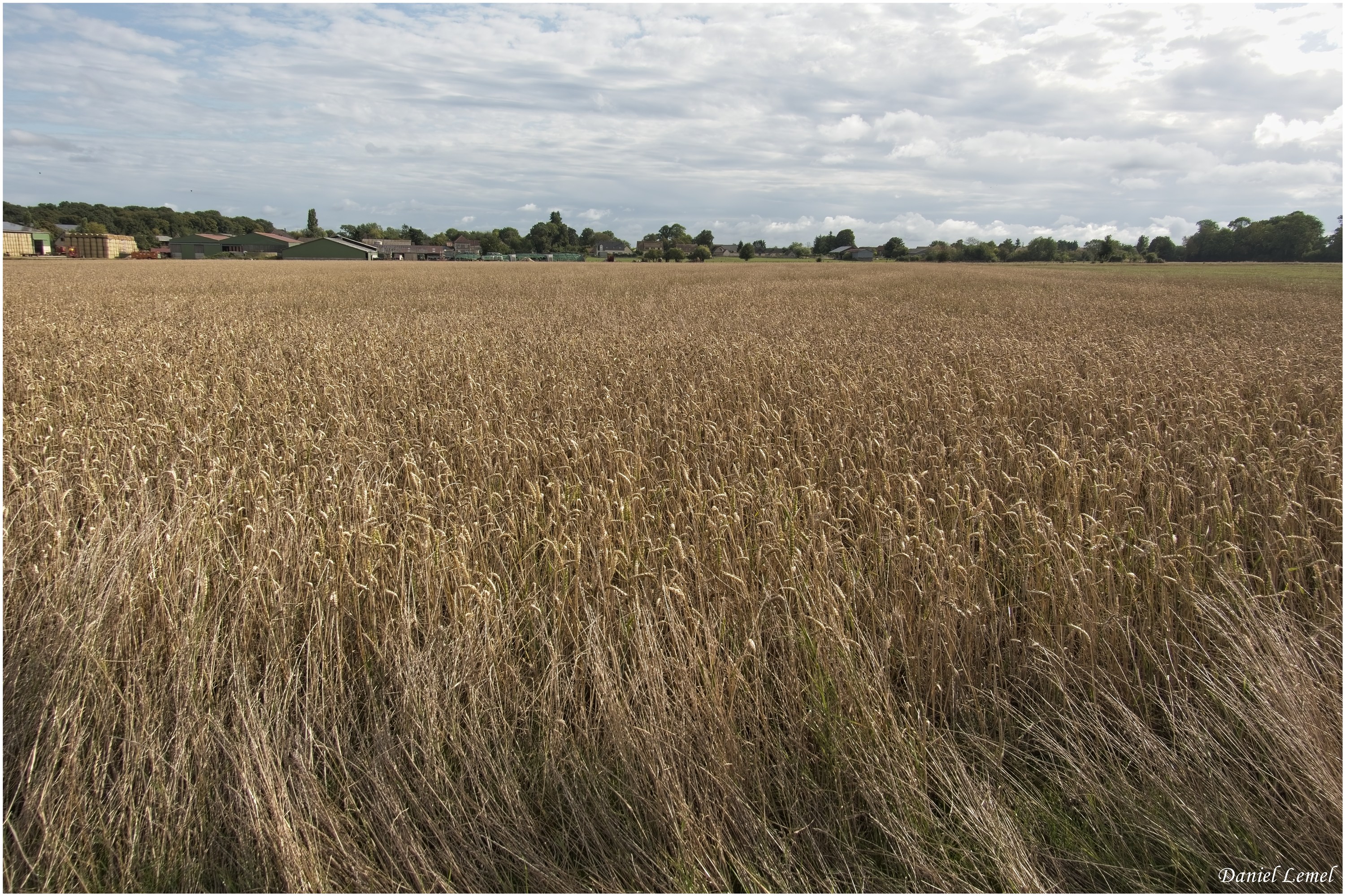 Bois-Jérôme-St-Ouen