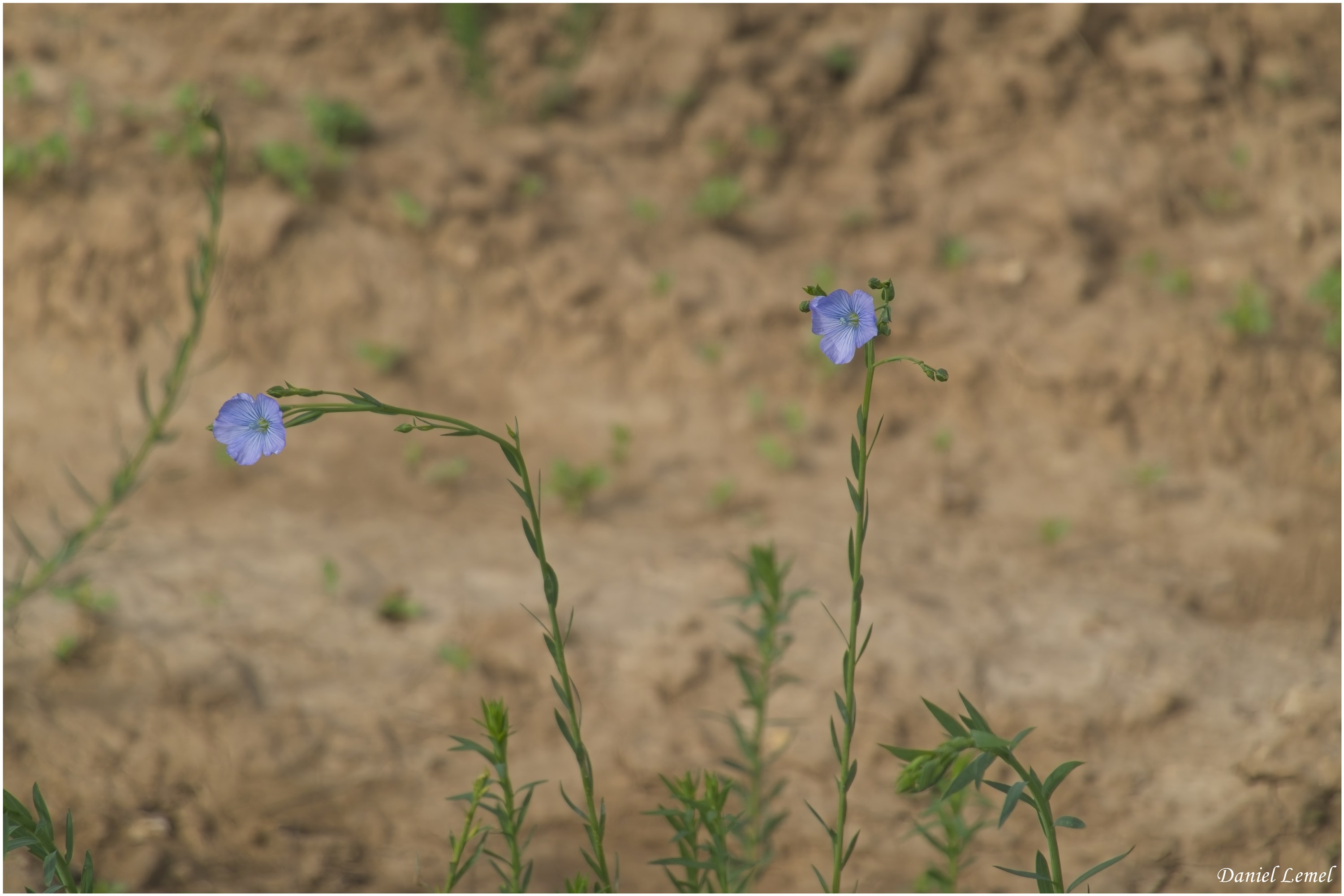 Bois-Jérôme-St-Ouen