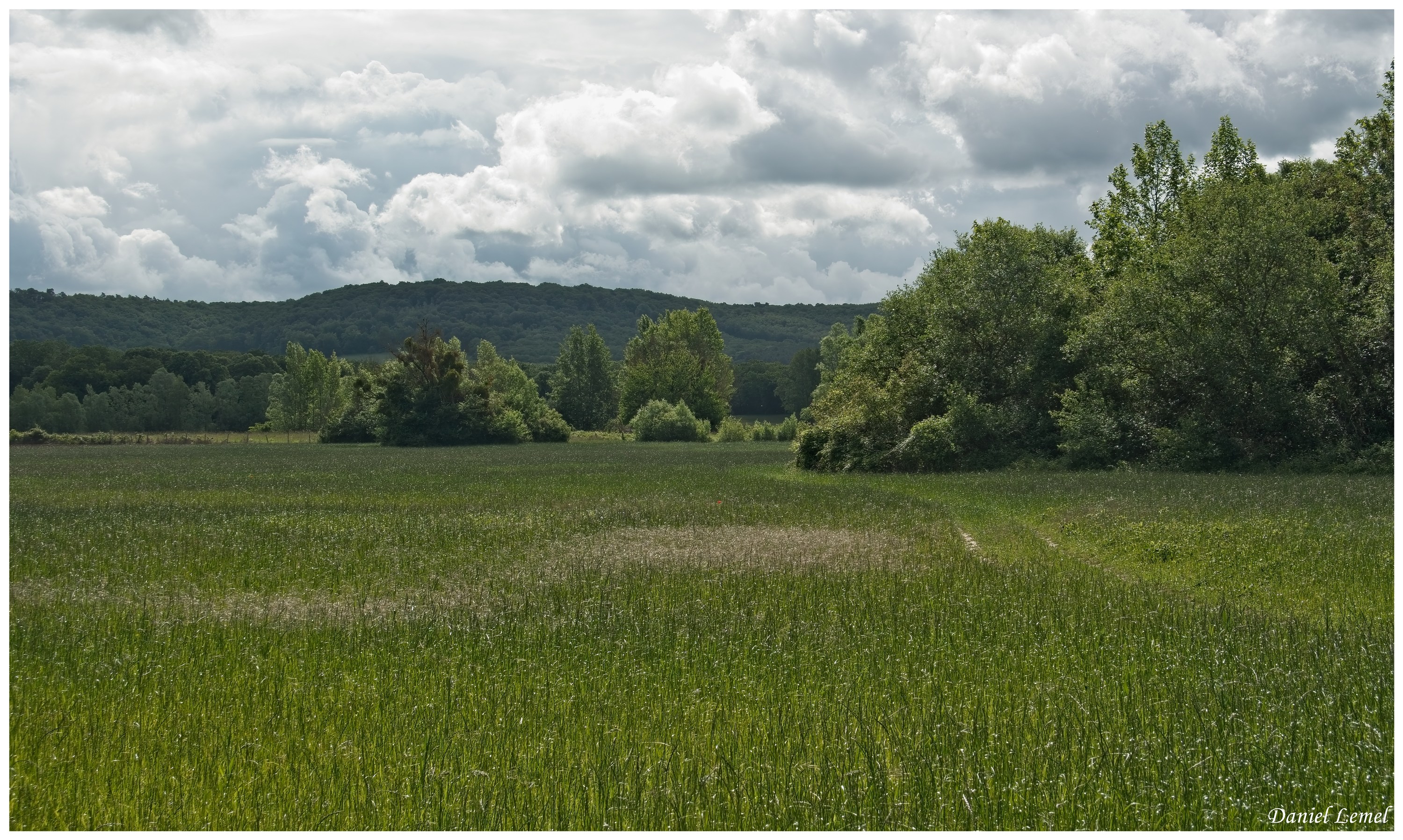  DSC3508W
