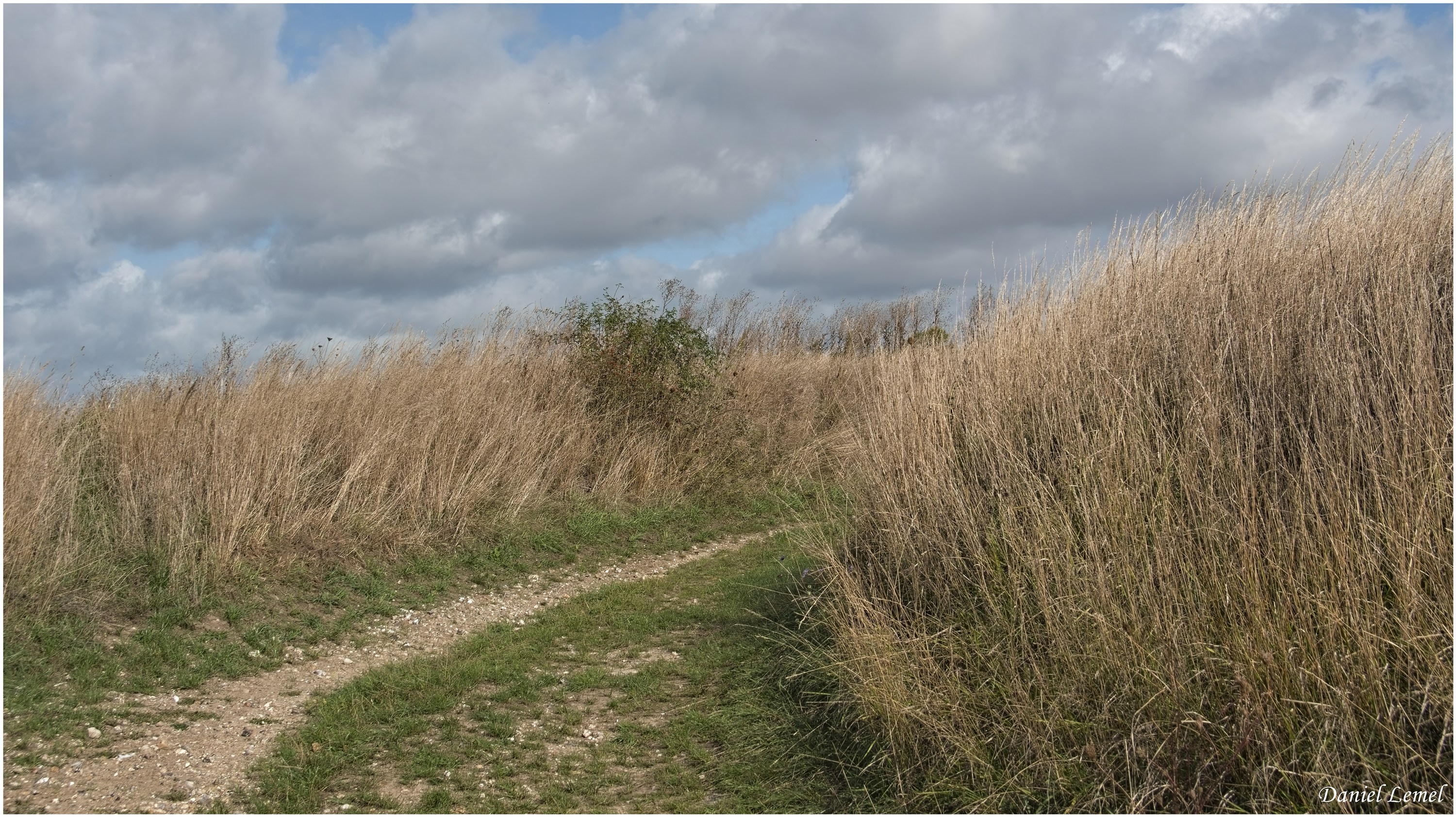 Ecardenville-Crèvecoeur