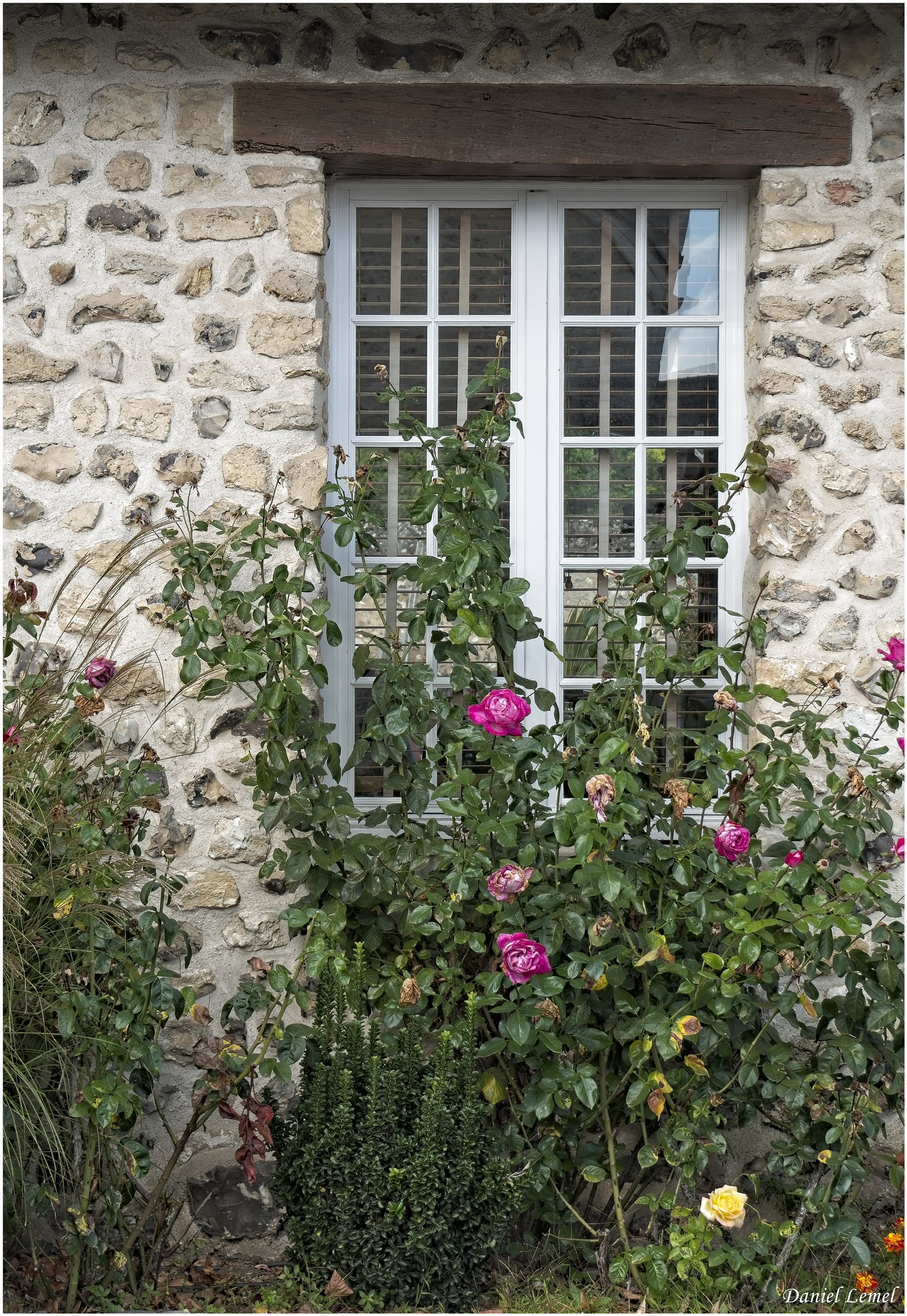 Ecardenville-Crèvecoeur