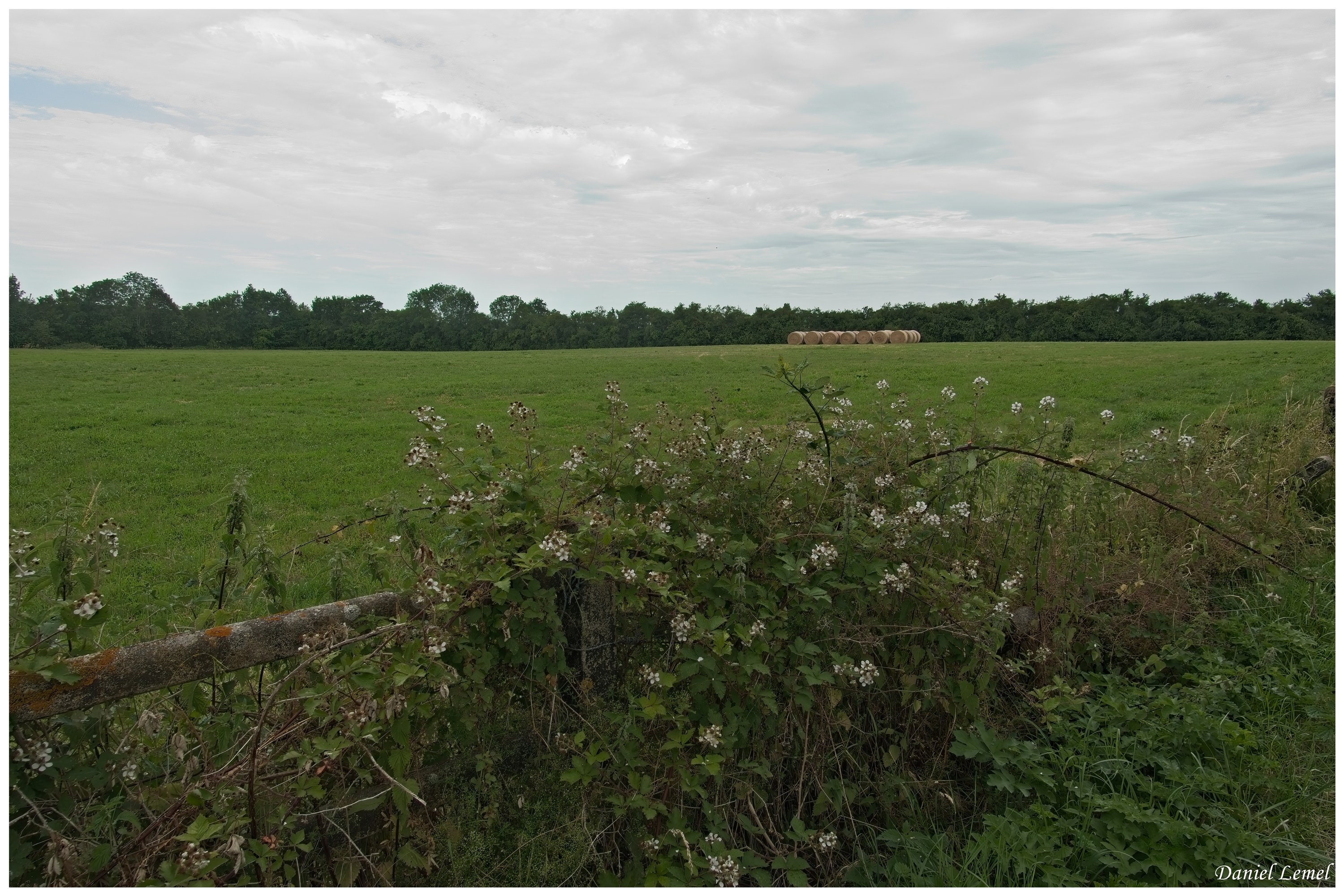  DSC4004W