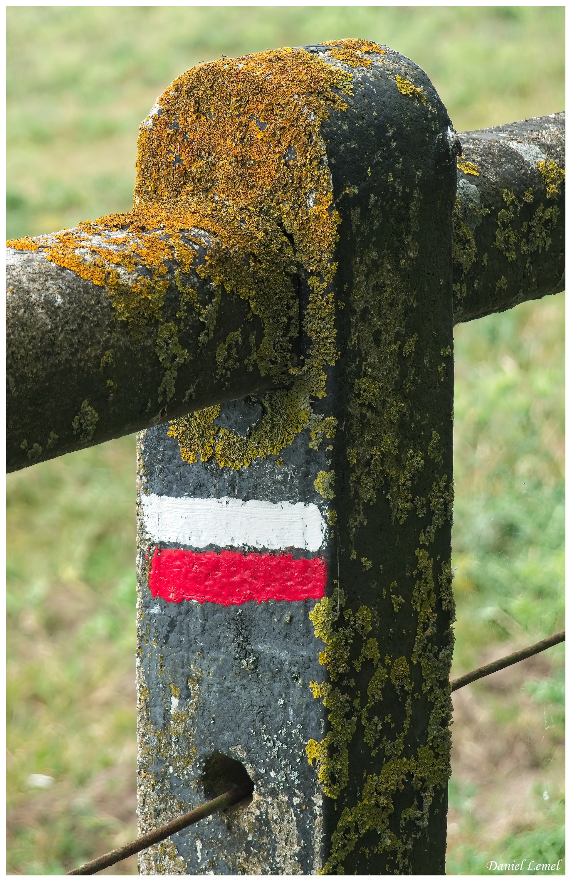  DSC4011W