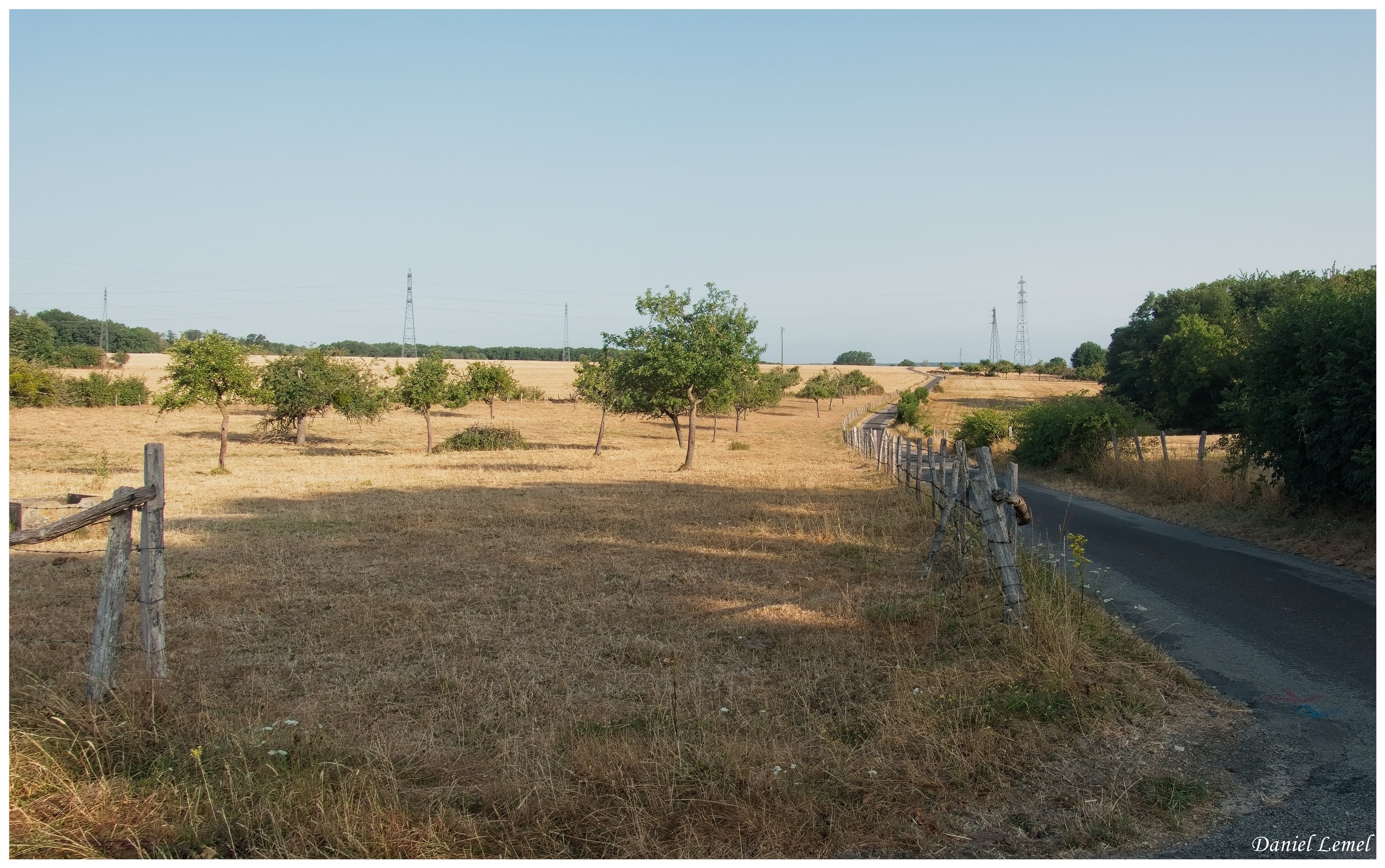  DSC4319W