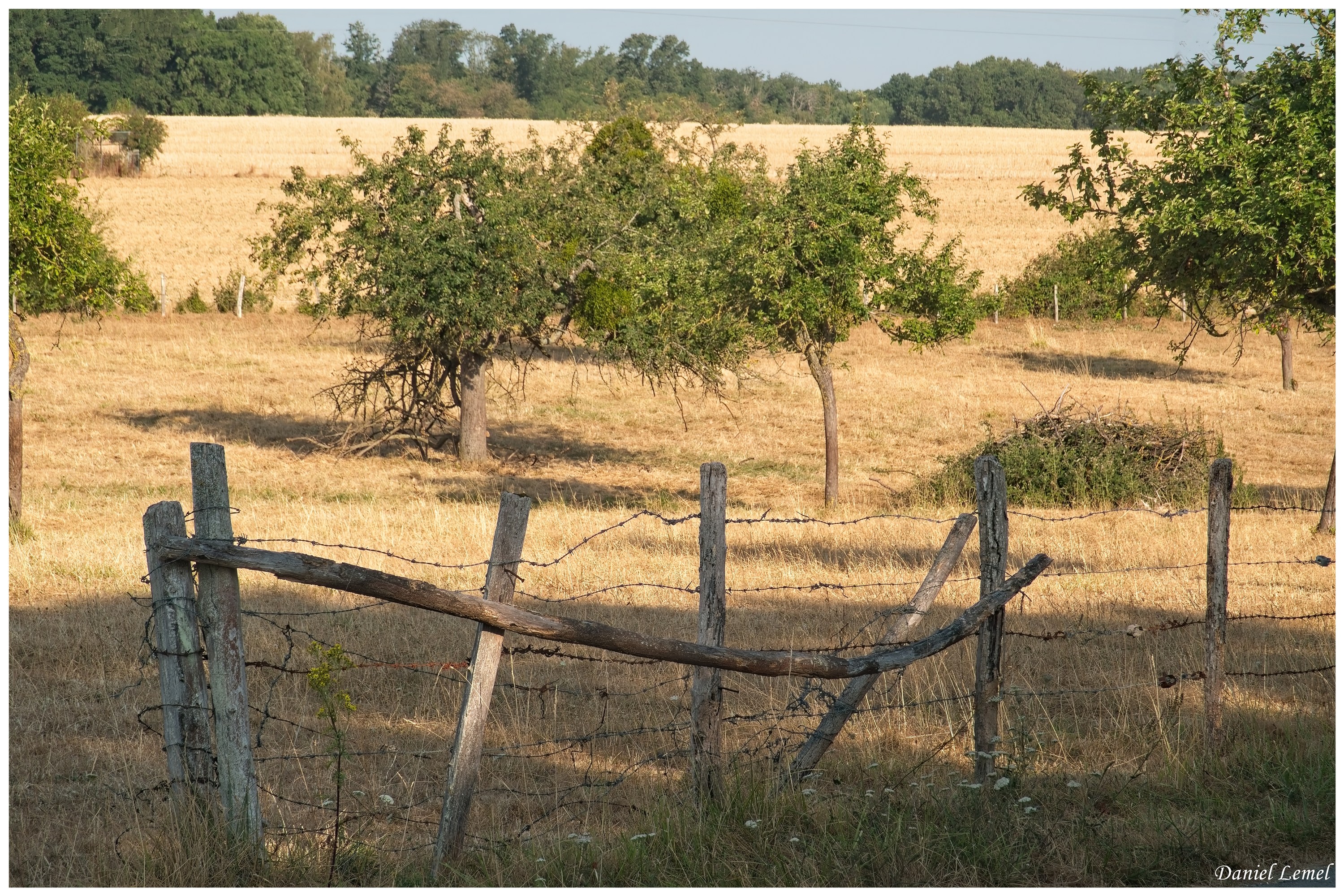  DSC4397W