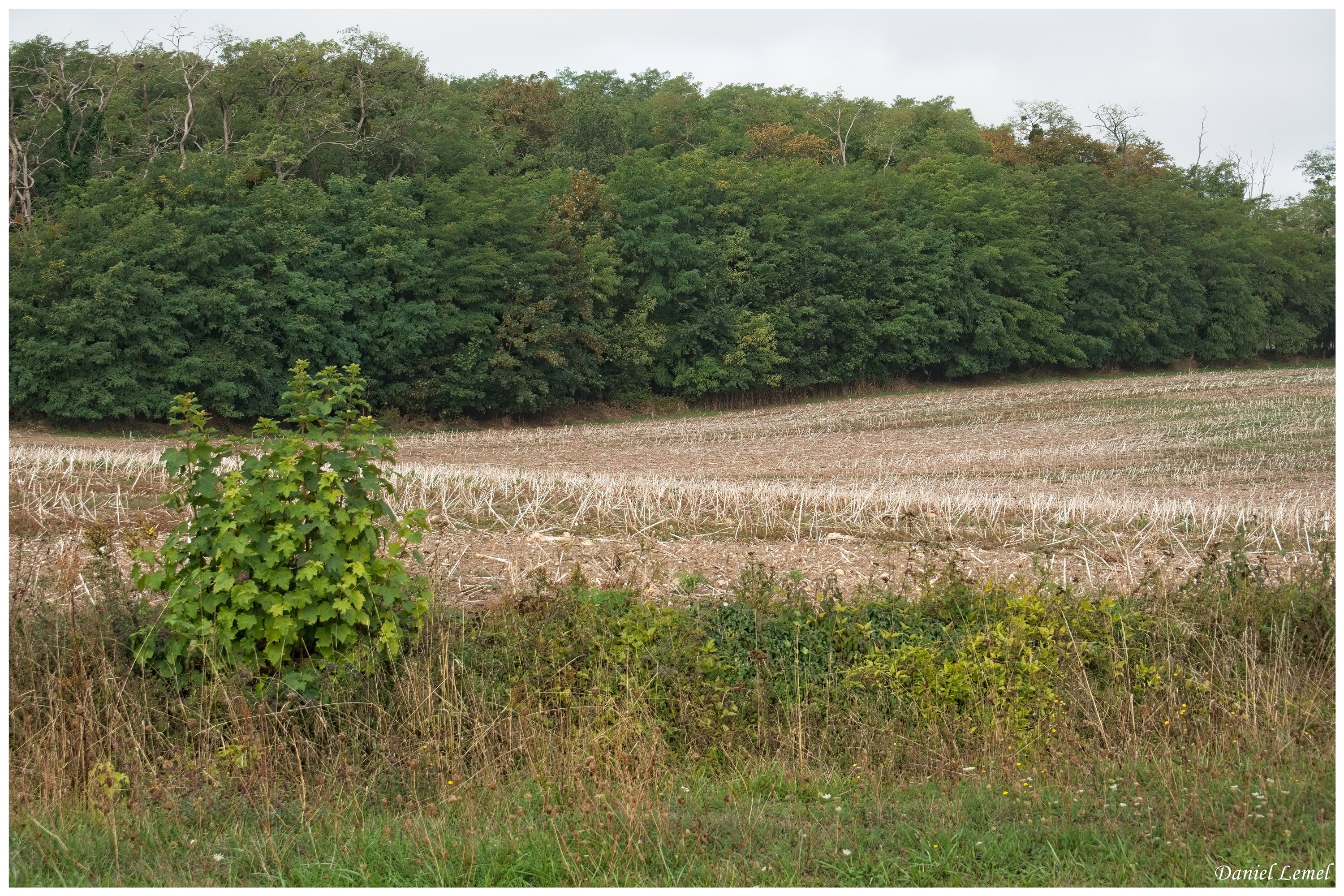  DSC4934W